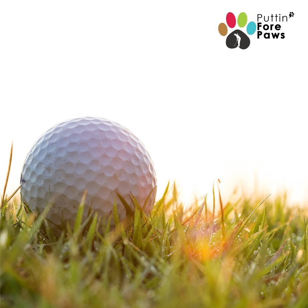 We are LESS THAN A MONTH AWAY from our 2nd Annual Drive, Dine, &amp; Dogs event! 🙌⛳️🎉

Join us on August 20th for a fun night at Victoria Driving Range! You and your friends will enjoy unlimited golf balls, a catered 3 course dinner, drinks, prizes