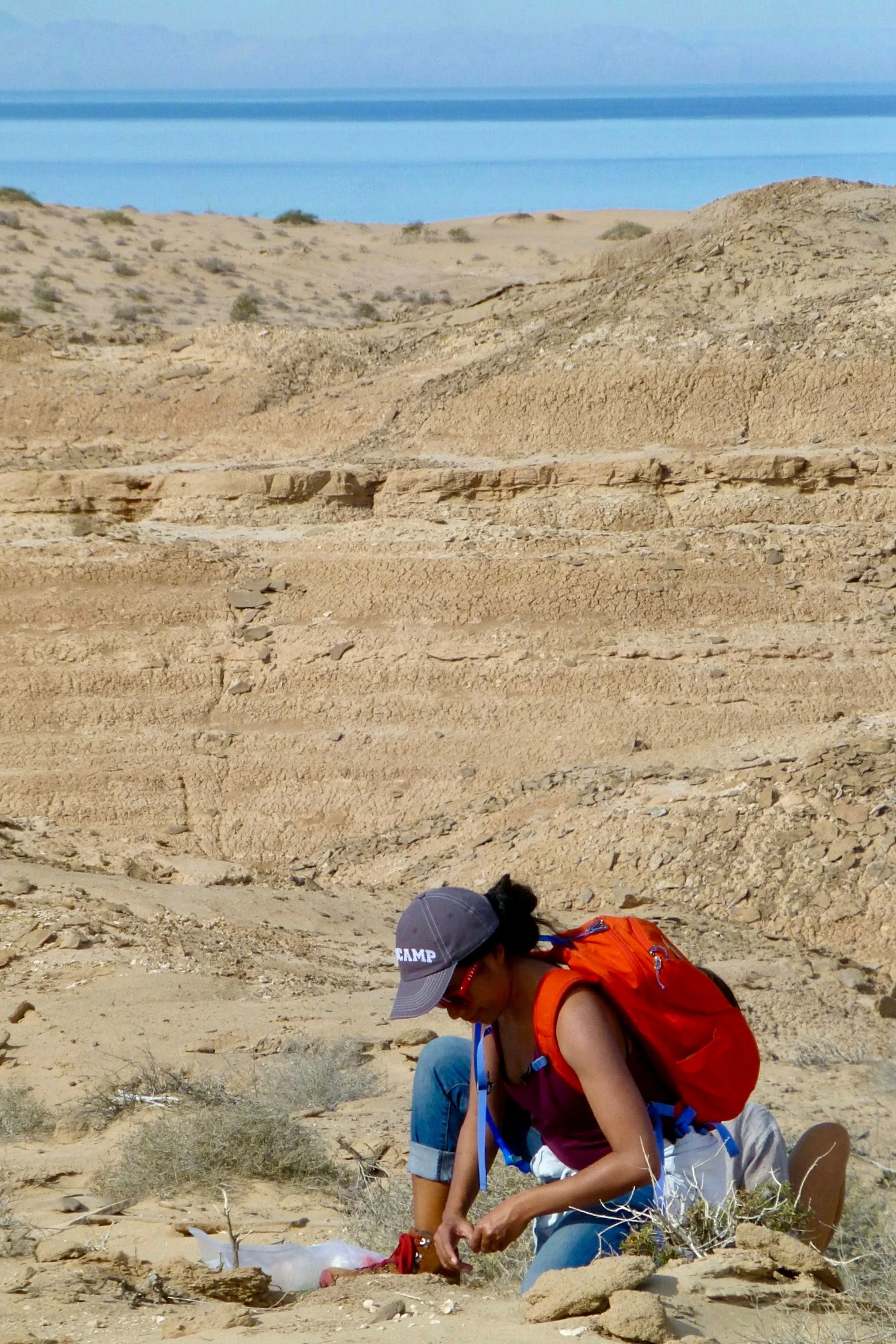 Mairin Balisi PhD , Paleoecology, Evolution