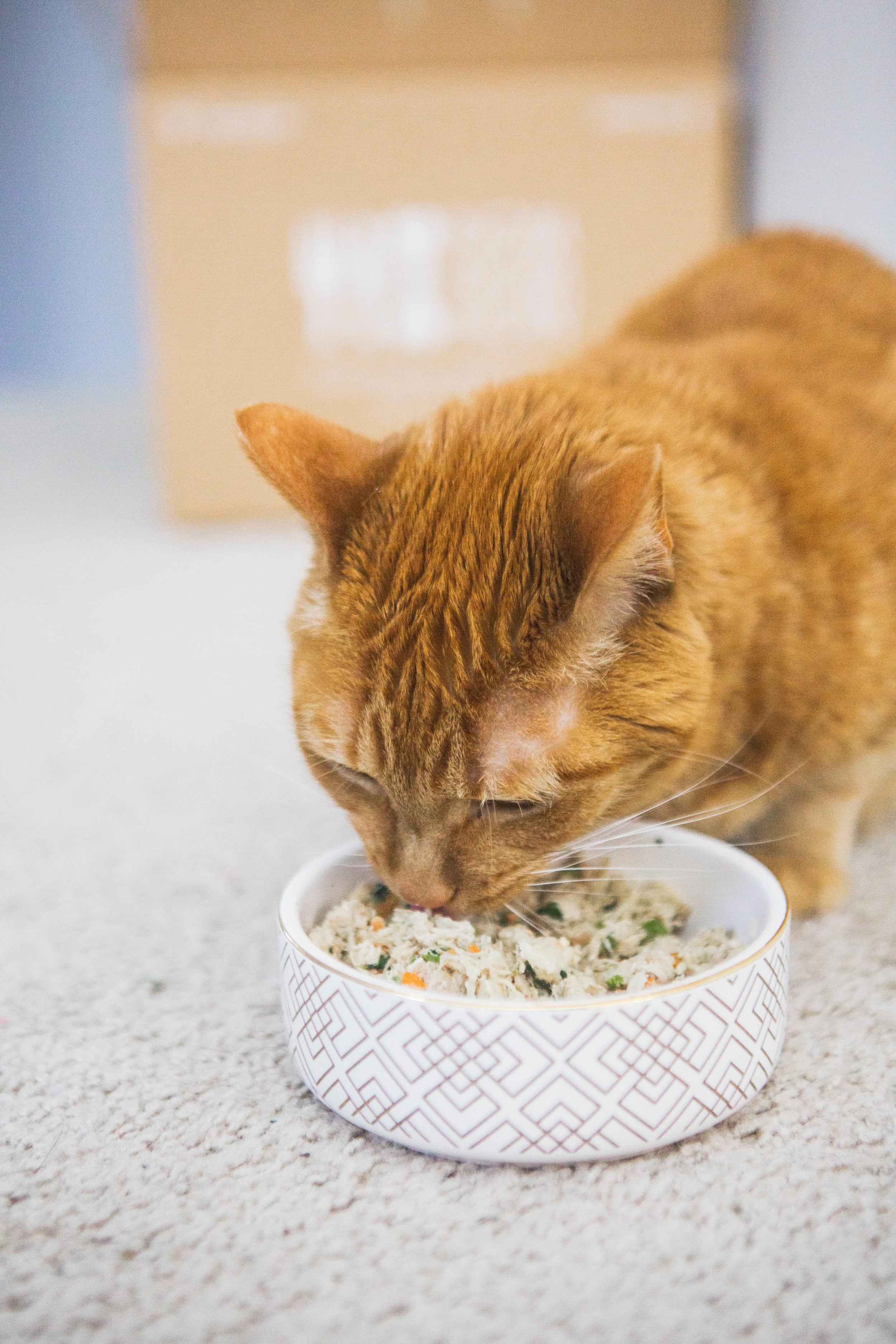 2018-01-18 14.40.23.jpg