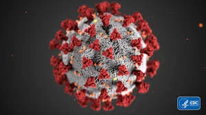 Contagion Animation as Contagious Animation
