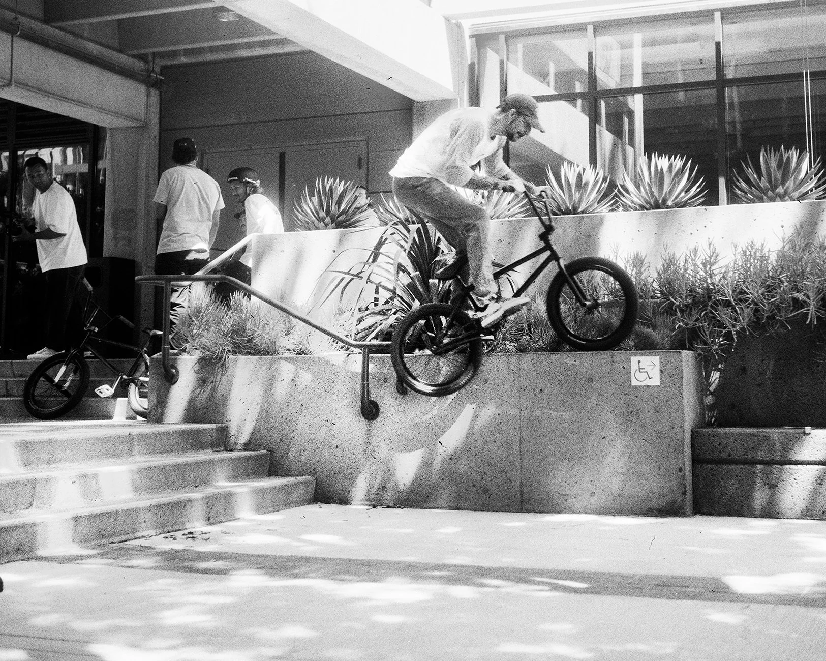 100Jibs2026_-2.jpg