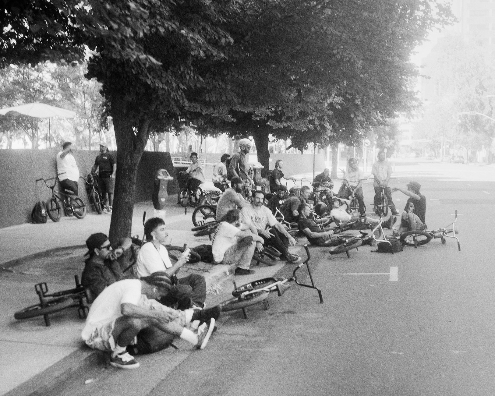 100Jibs2026_-1.jpg
