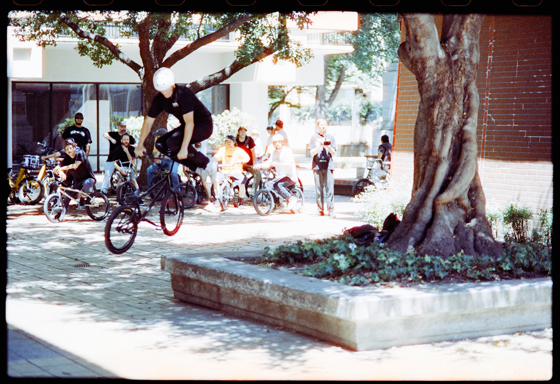 100Jibs2026_-43.jpg