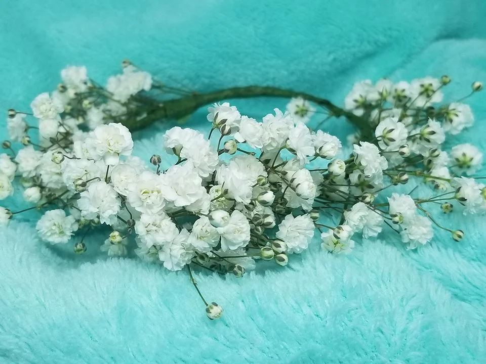 flower crown 1.jpg