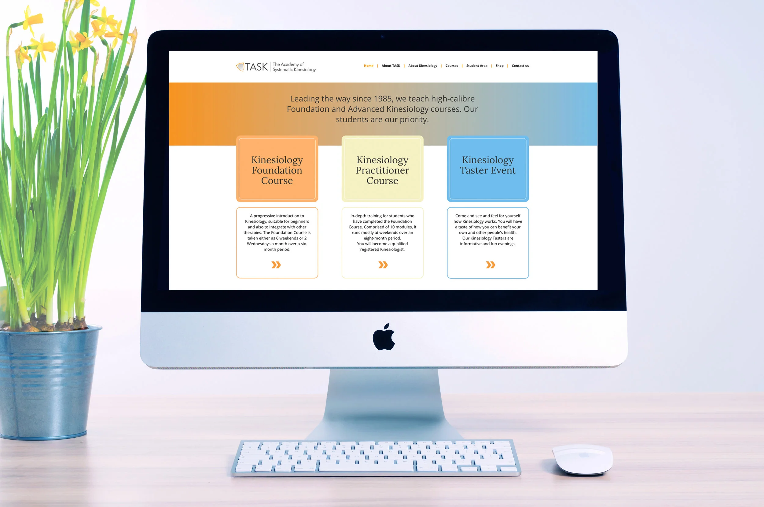 TASK Kinesiolgy-on Imac.jpg