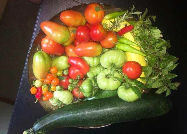 vegetables.jpg