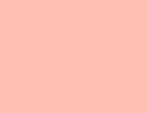 worshi[-1.png