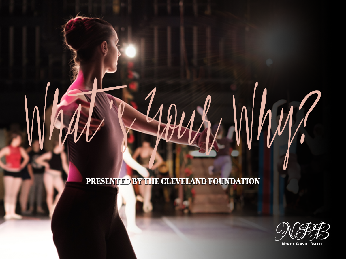 NPB_Why_Facebook-News-Feed_v2 (2).png