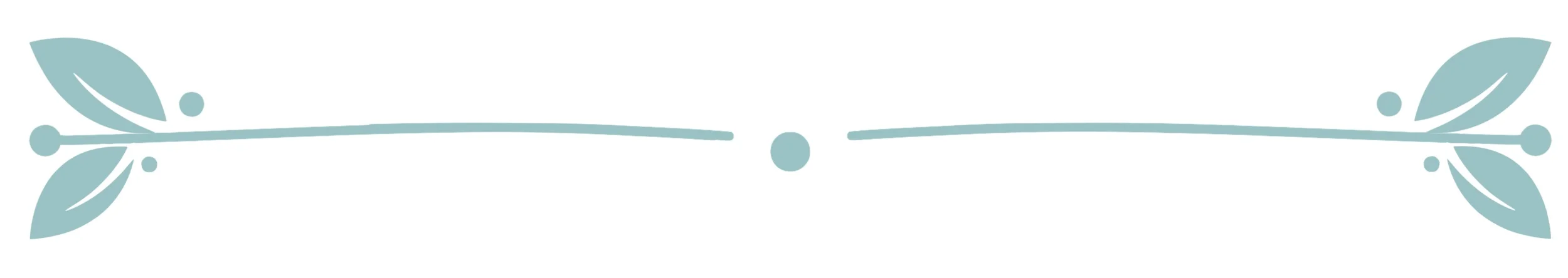 divider.jpg