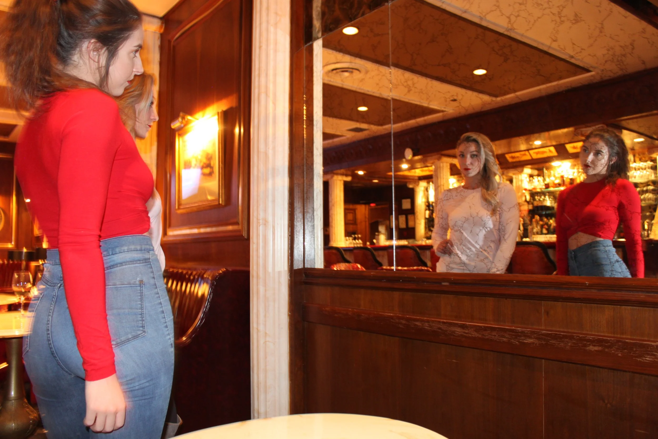 IMG 12: RAW from Canon Rebel T1i  (Flash ON)