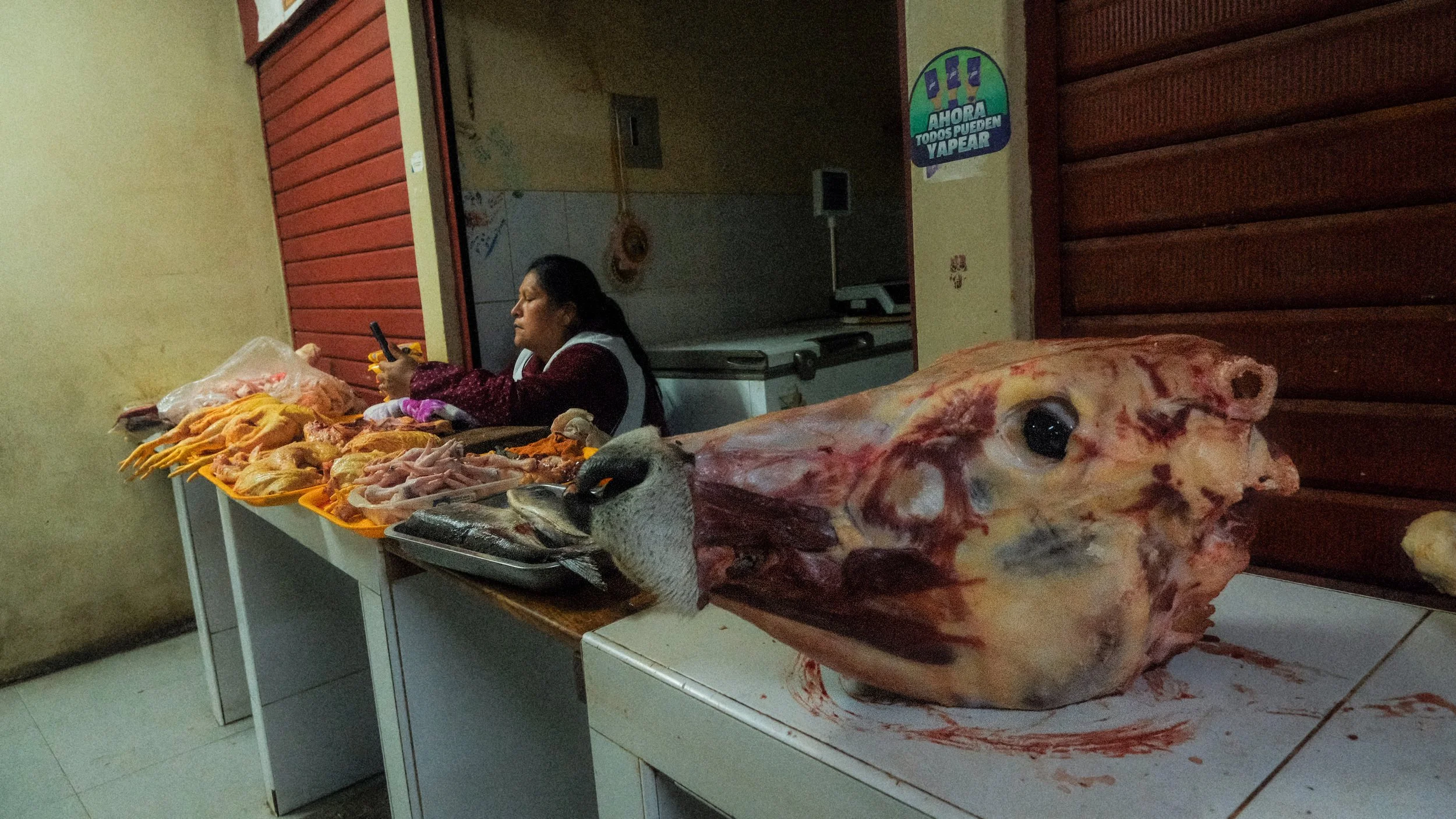 DSCF4659.jpg