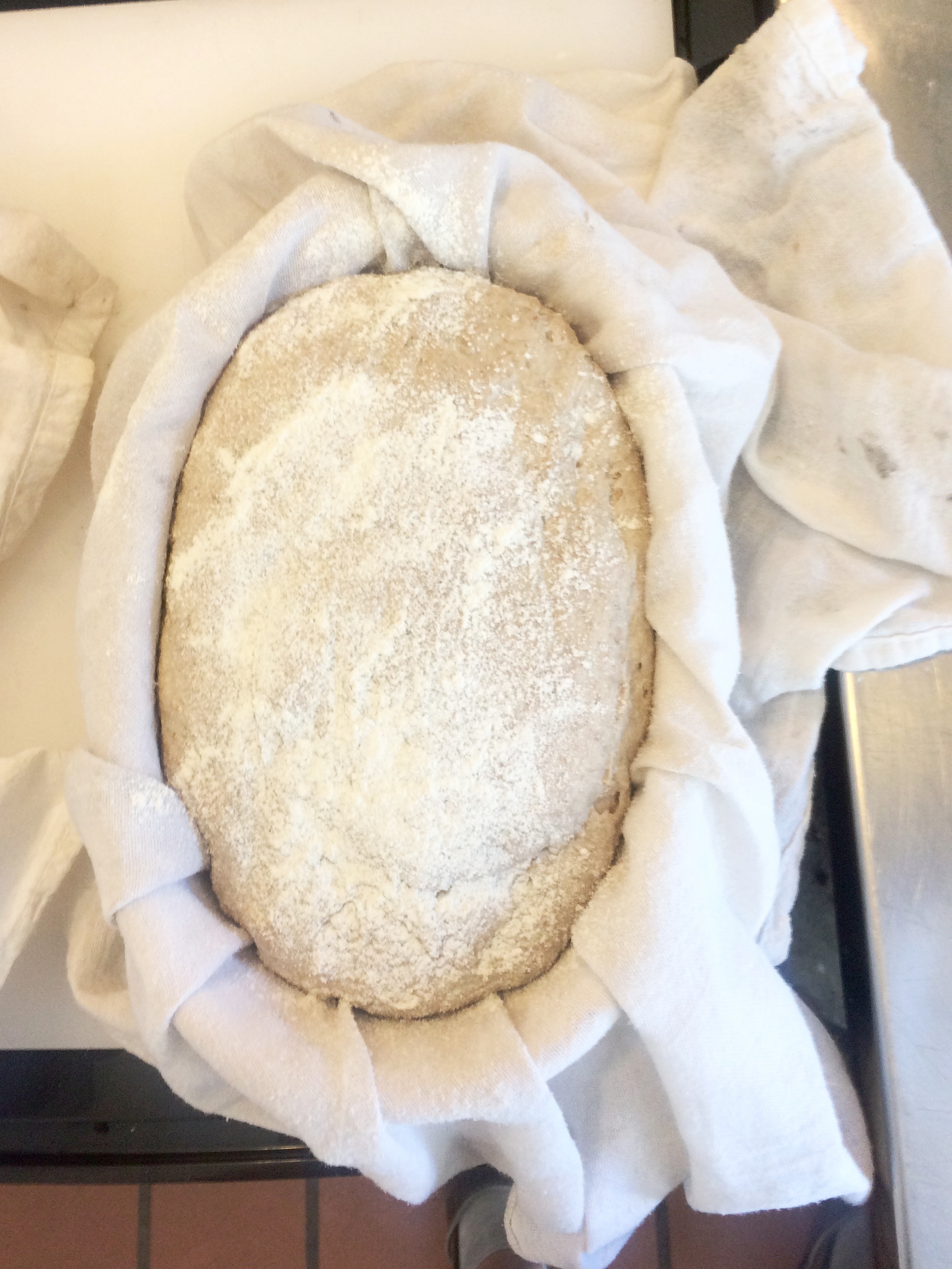 Post - 24 hour cold fermentation, ready to bake; Delhi, NY