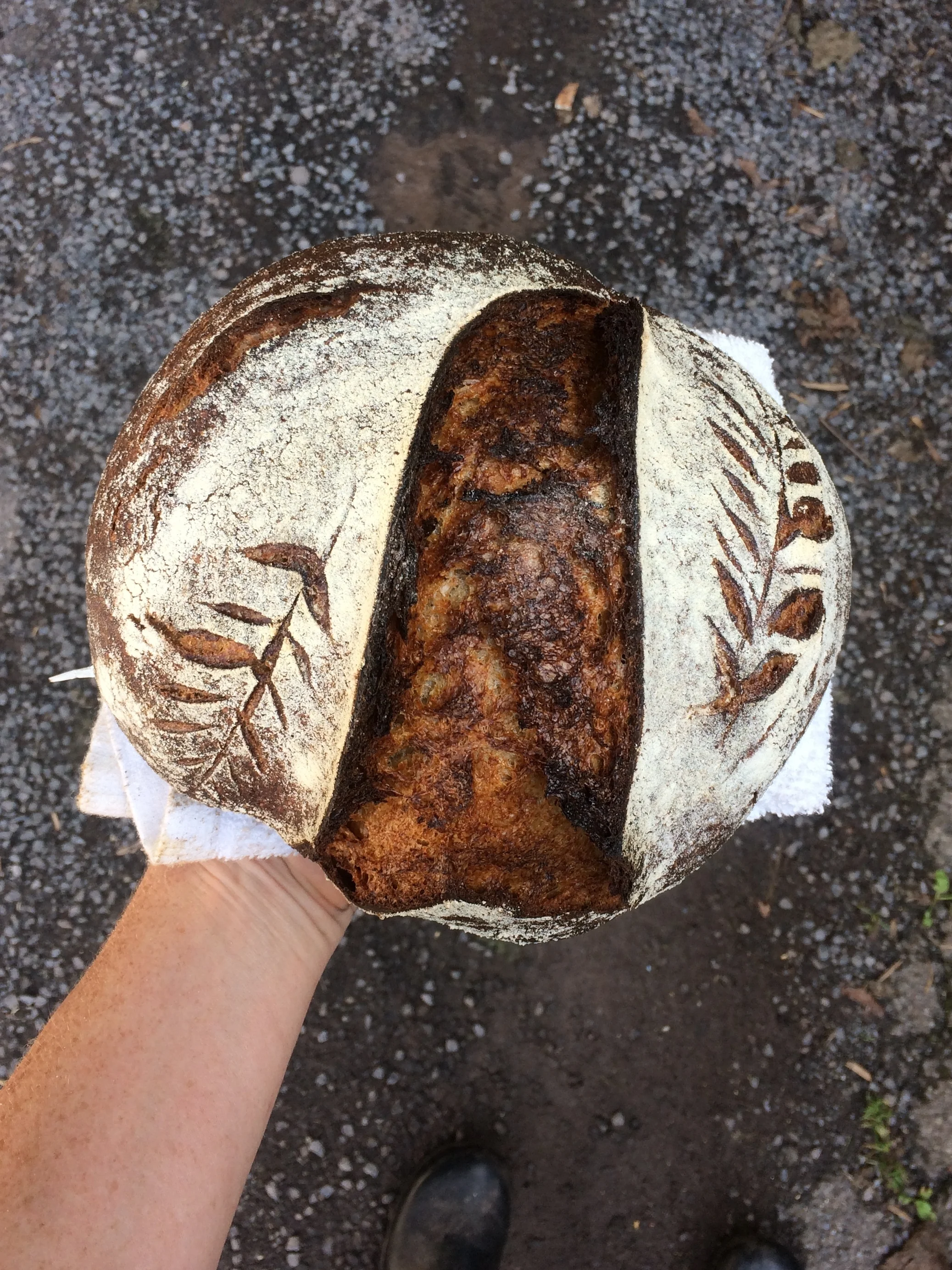 Rye, Whole Wheat, Einkorn (Farmer Ground Flour); Delhi, NY