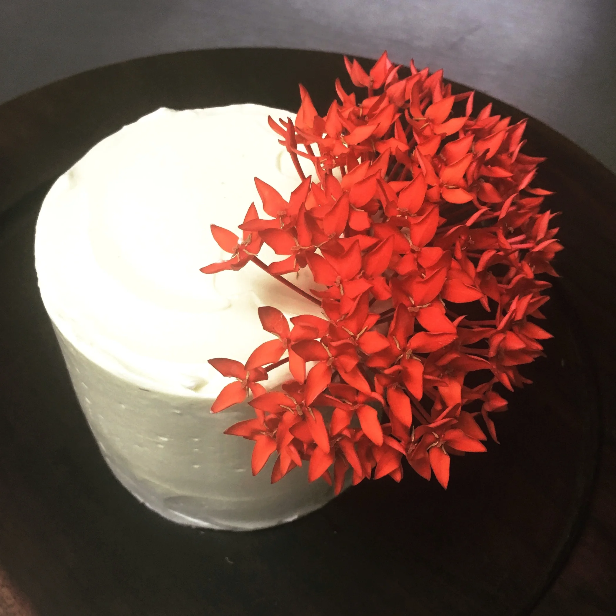 1st Anniversary;  Rancho Santana, Nicaragua