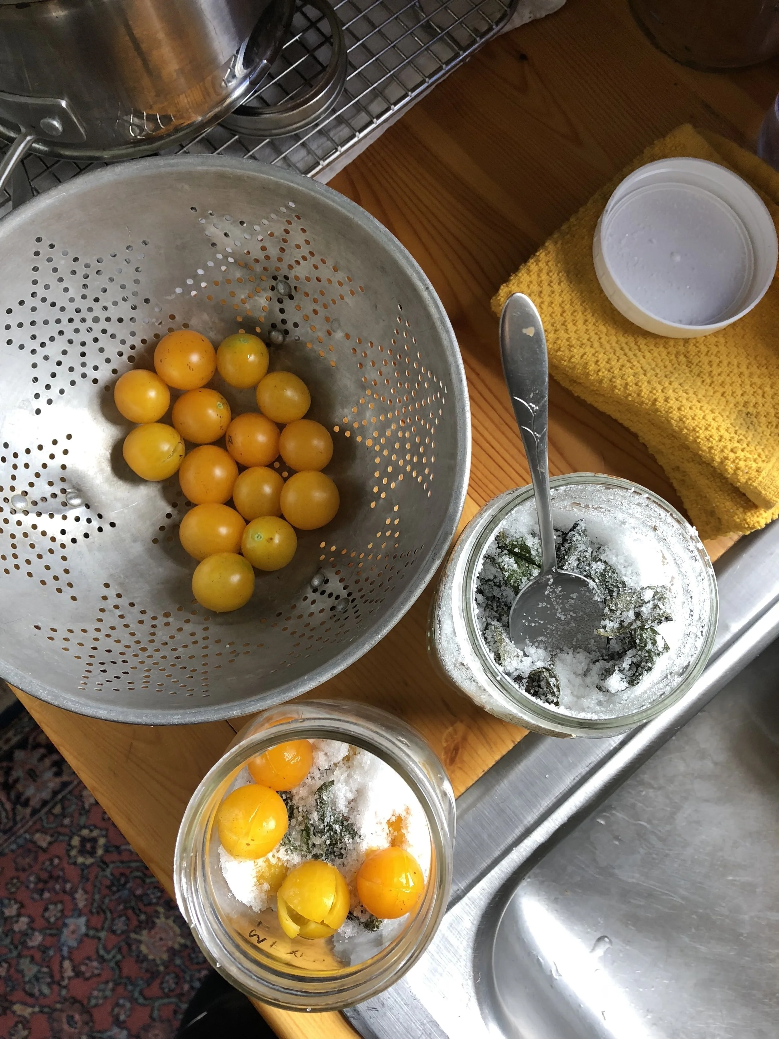 Salt cured cherry tomatoes with basil; Bovina, NY