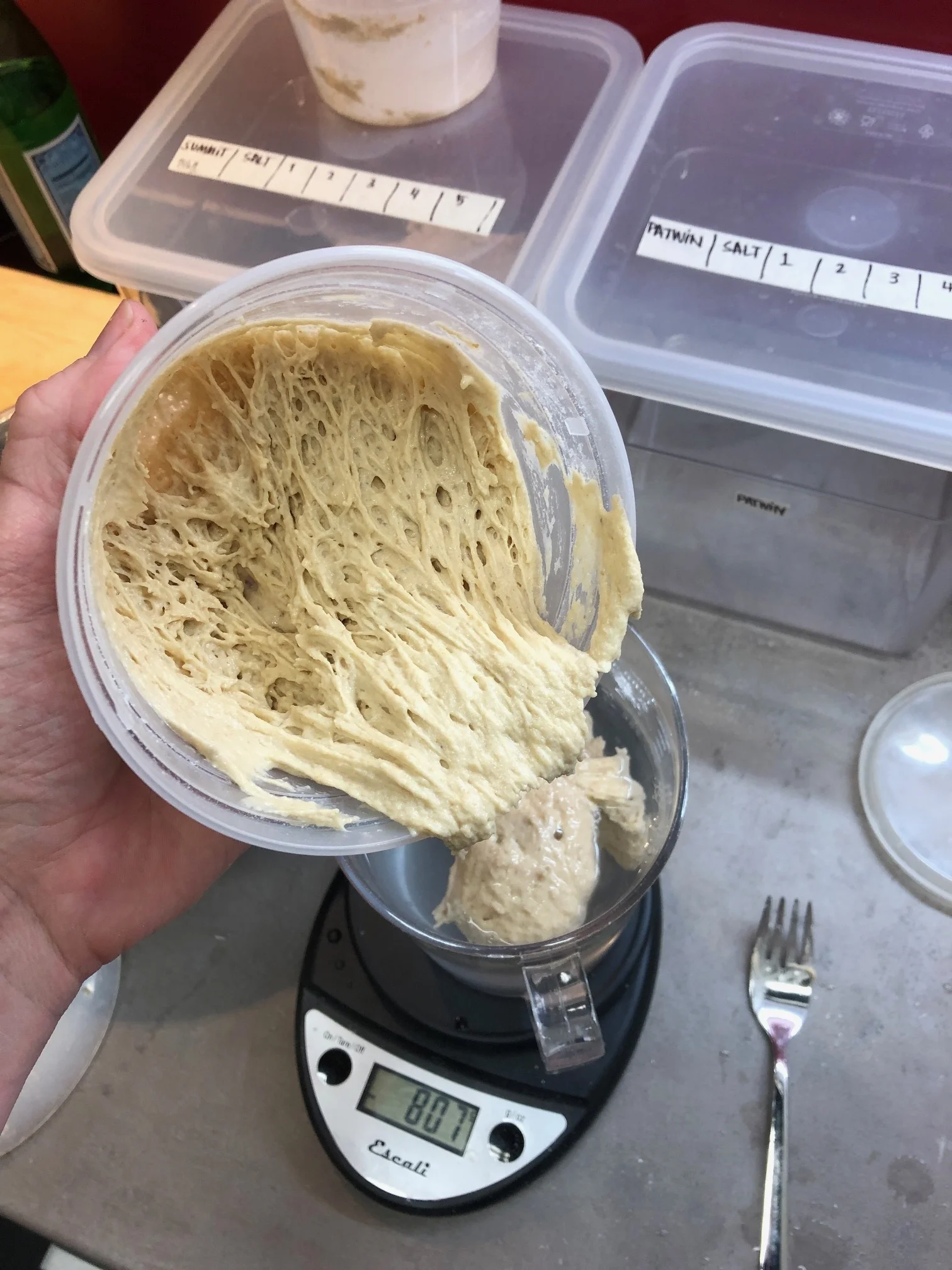 Levon the Levain - Gluten Development with Community Grains Identity Preserved Flours; Oakland, CA