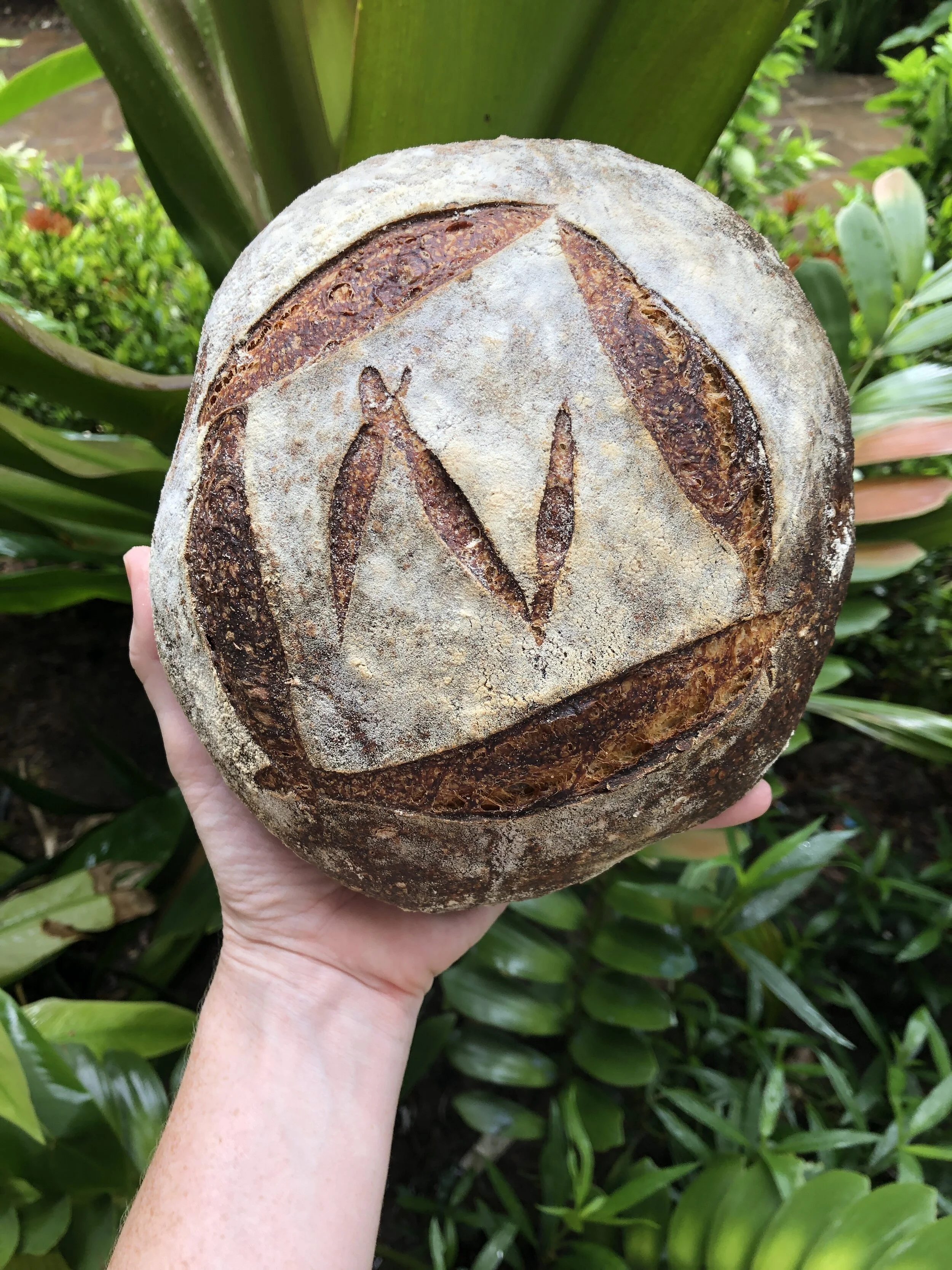 Pan de Masa Madre, Rancho Santana, Nicaragua