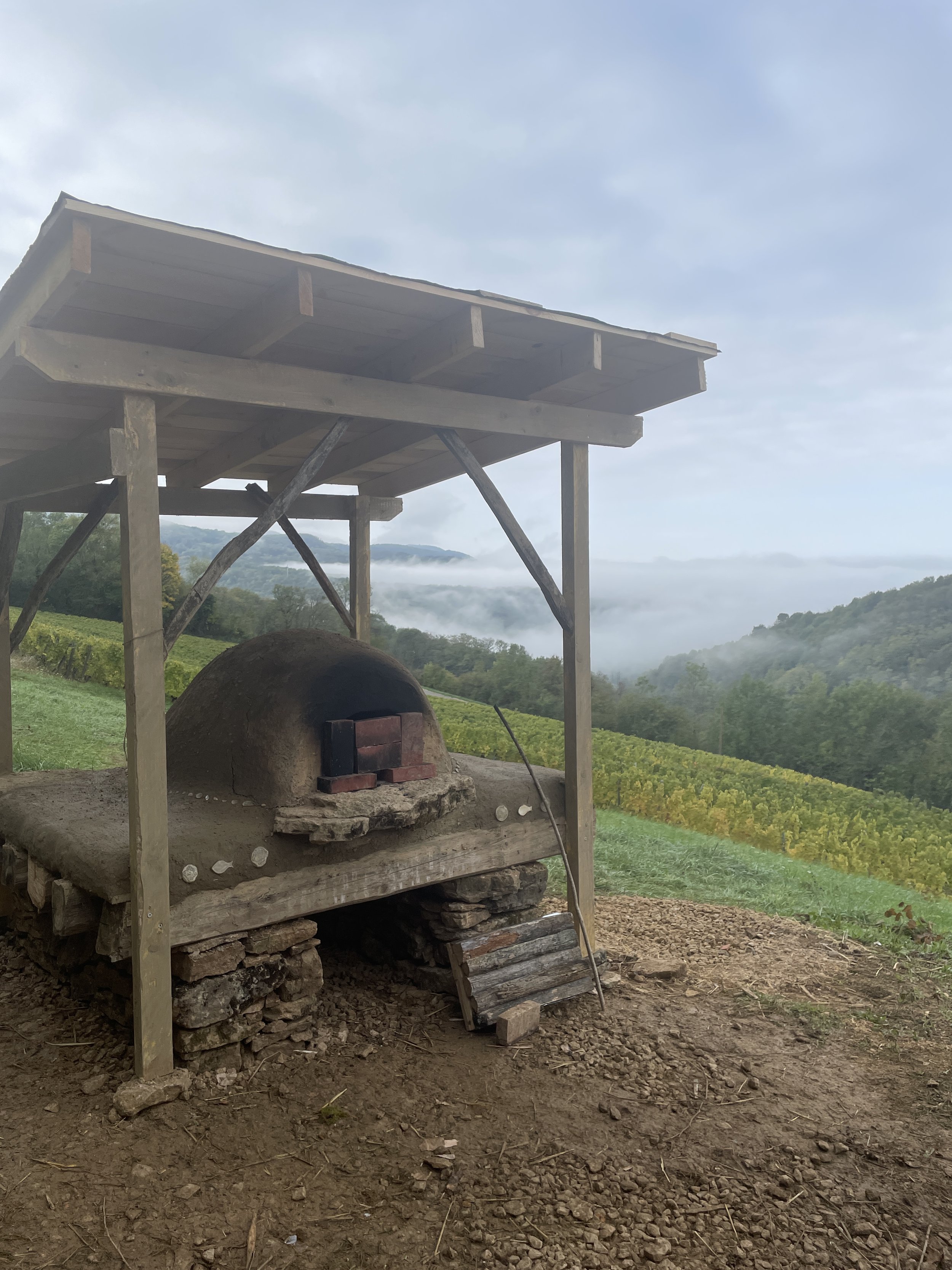 CC First Fire, morning fog.JPG