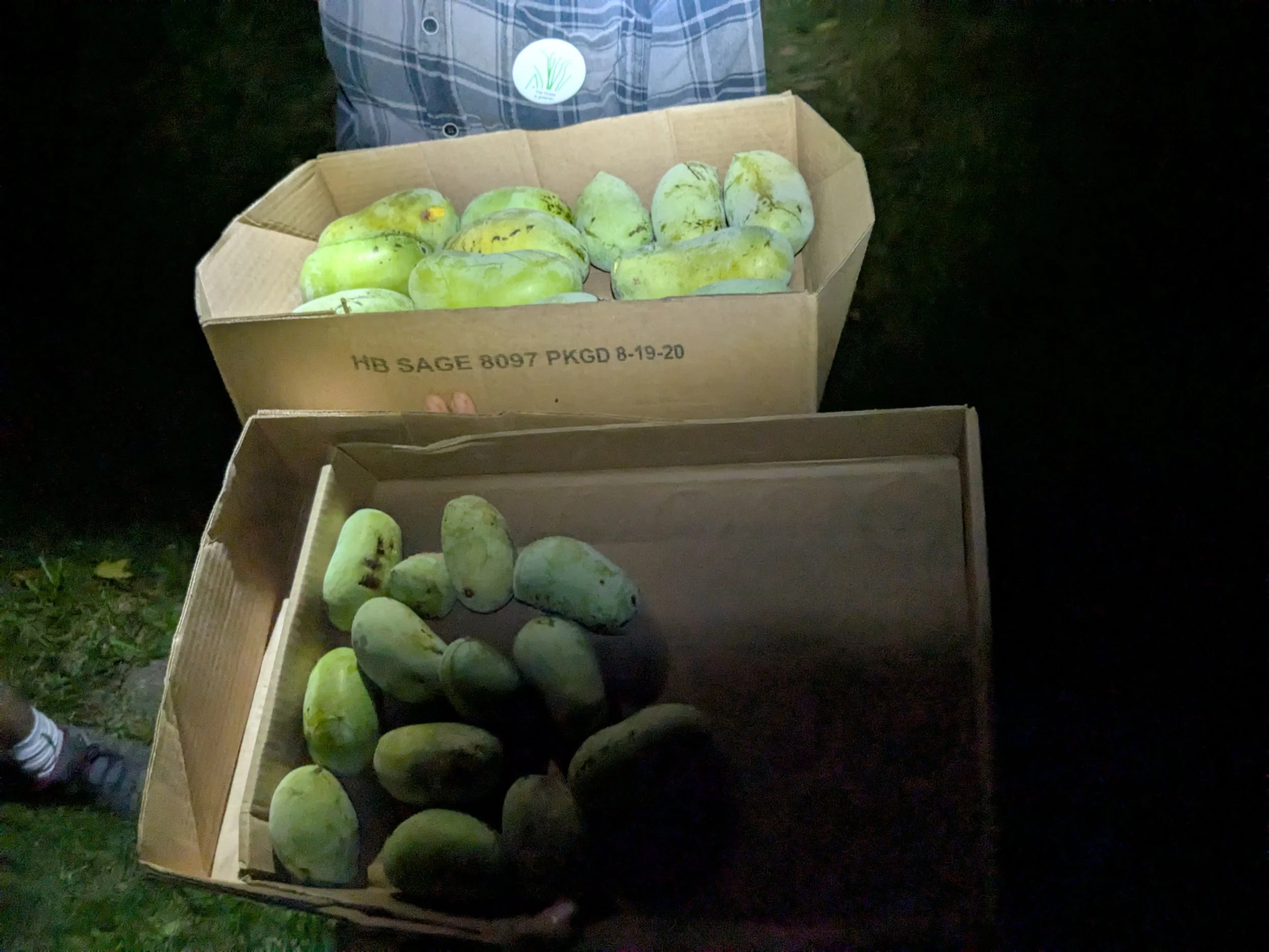 Beer Release: Paw Paw Belgian