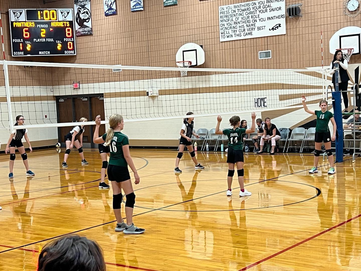 Athletics Volleyball.jpg