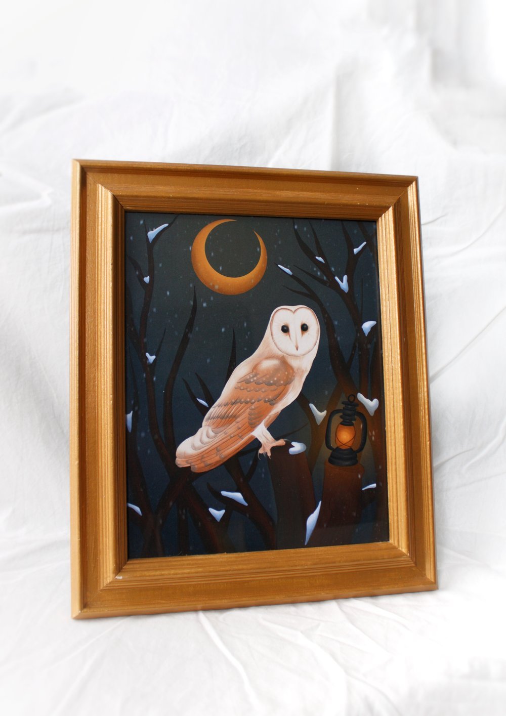 BarnOwl.jpeg