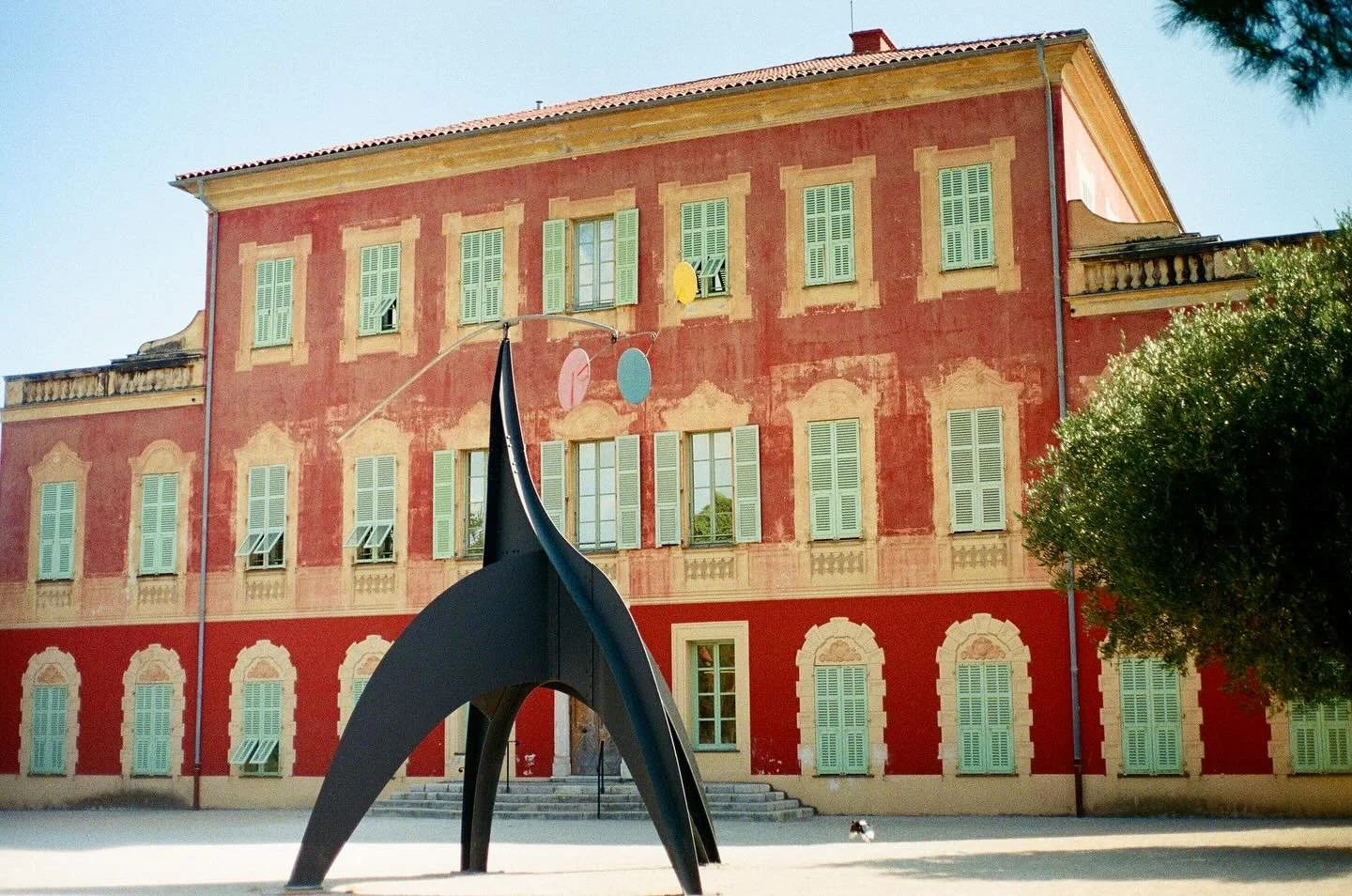 film from France 💫 #35mmfilm 

1. Mus&eacute;e Matisse ft. Alexander Calder
2. Nice, C&ocirc;t&eacute; d&rsquo;Azur
3. Monast&egrave;re de Cimiez 
4. somewhere along the C&ocirc;te d&rsquo;Azur
5. Villefranche-sur-Mer
6. Galleries Lafayette, Paris
7