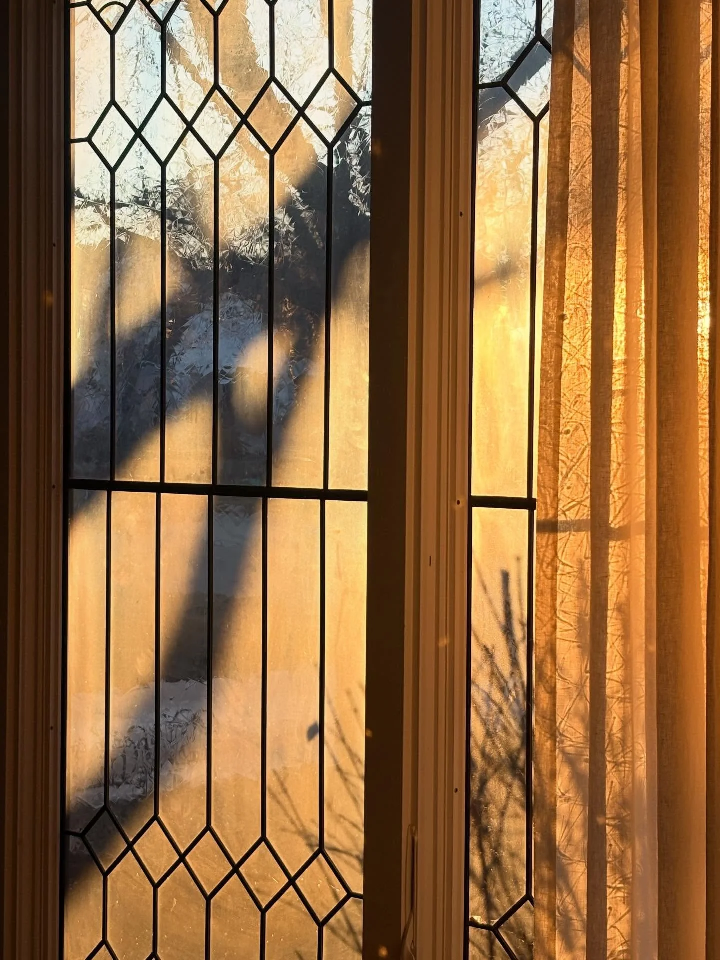 I don&rsquo;t get on this app much these days, and instead letting my brain have some rest from it all. and it&rsquo;s been a very cozy winter so far indeed. here are some snapshots from the season so far. ❄️✨