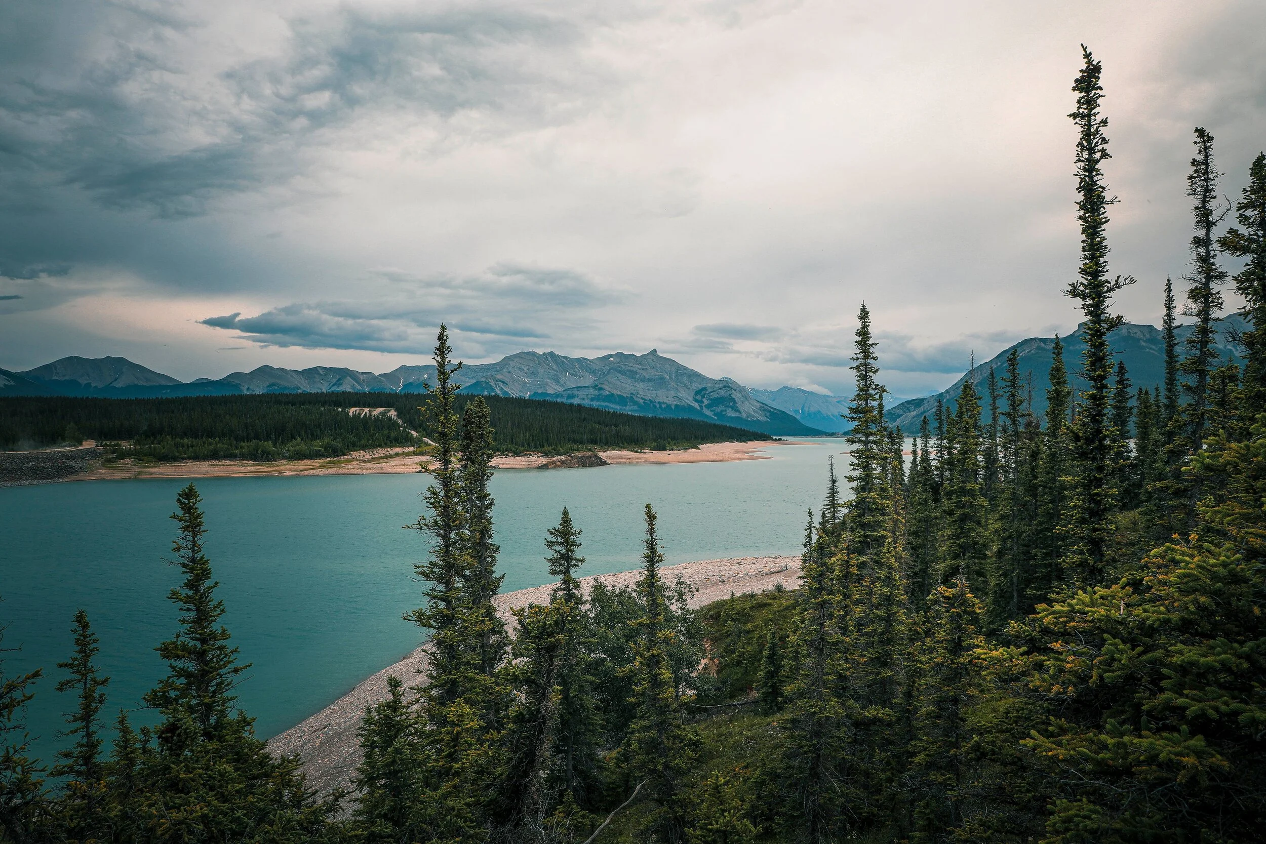 joelle photo 15.jpeg