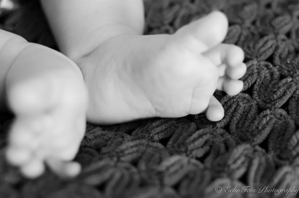 DSC_0597.jpg