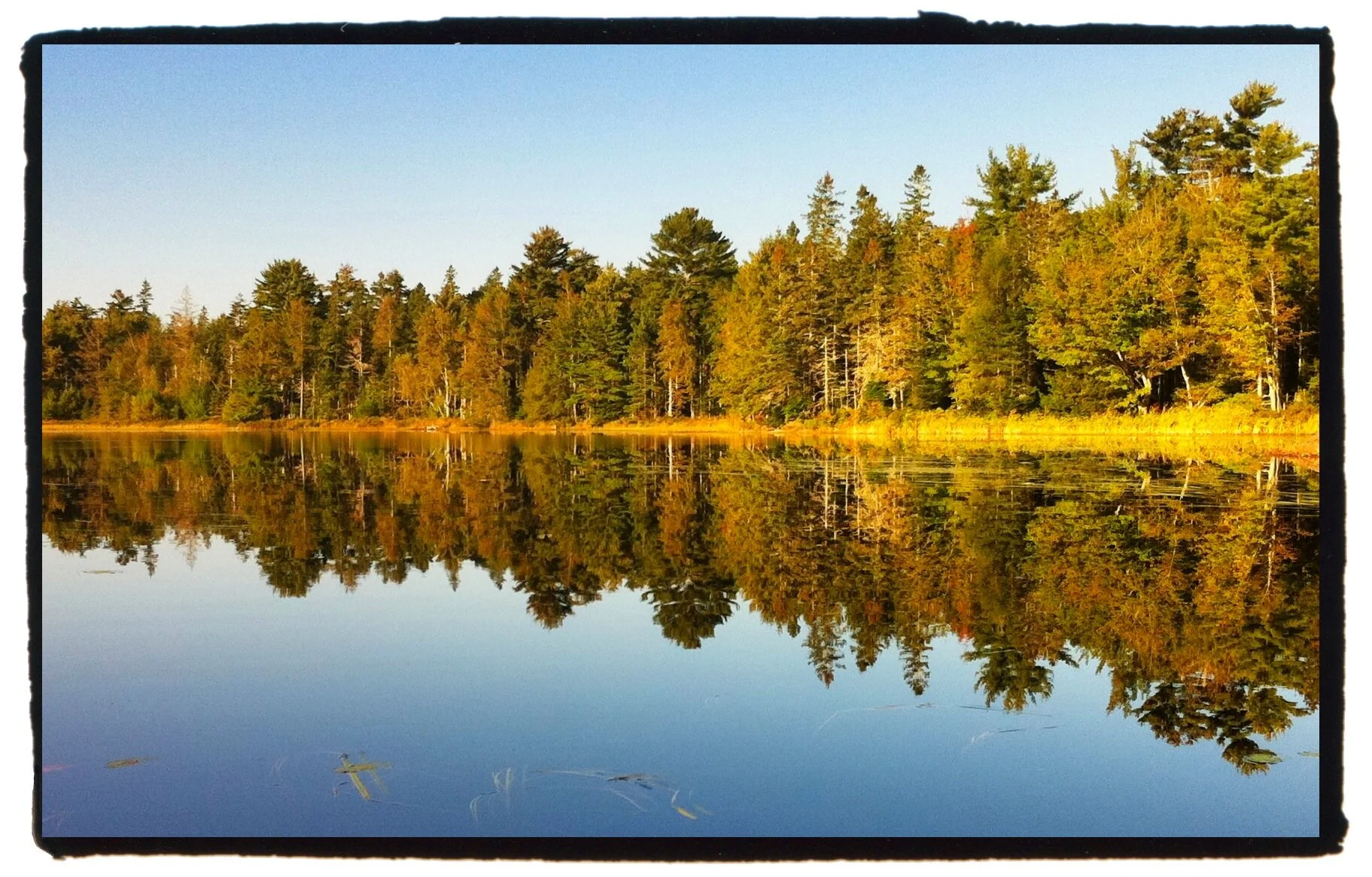 20110927_140953000_iOS.jpg