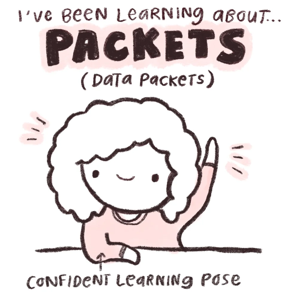 packets_intro.jpg