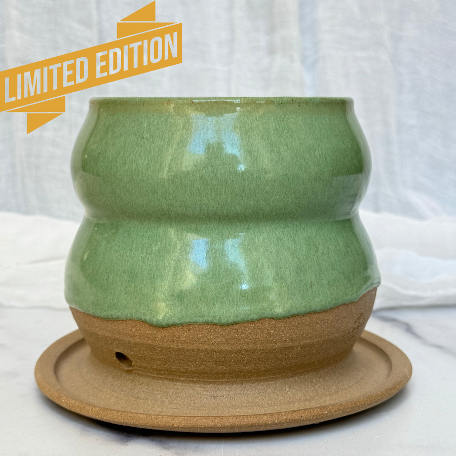 Moss Bubble Planter