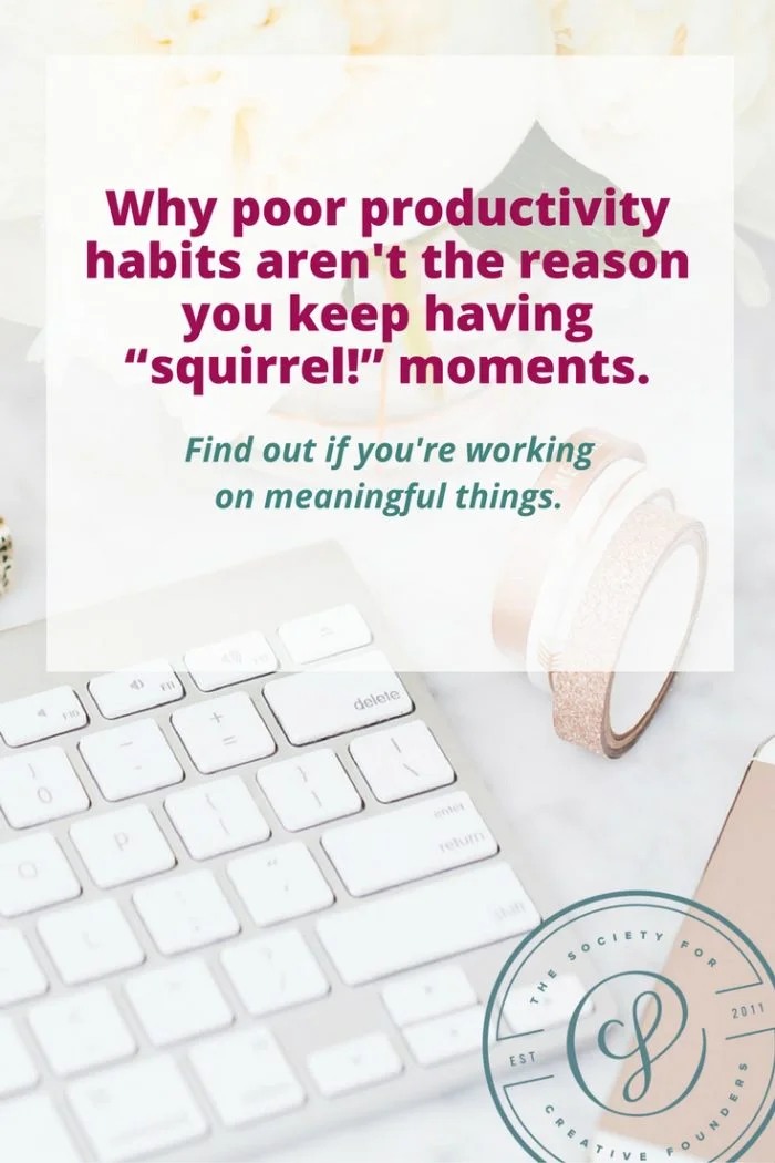 Poor productivity isn't why you're distracted with squirrel! moments. Learn more about goal setting for creative business owners.