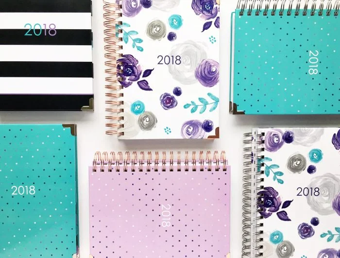 ashleyshellyplanners2018group1-700x530.jpg