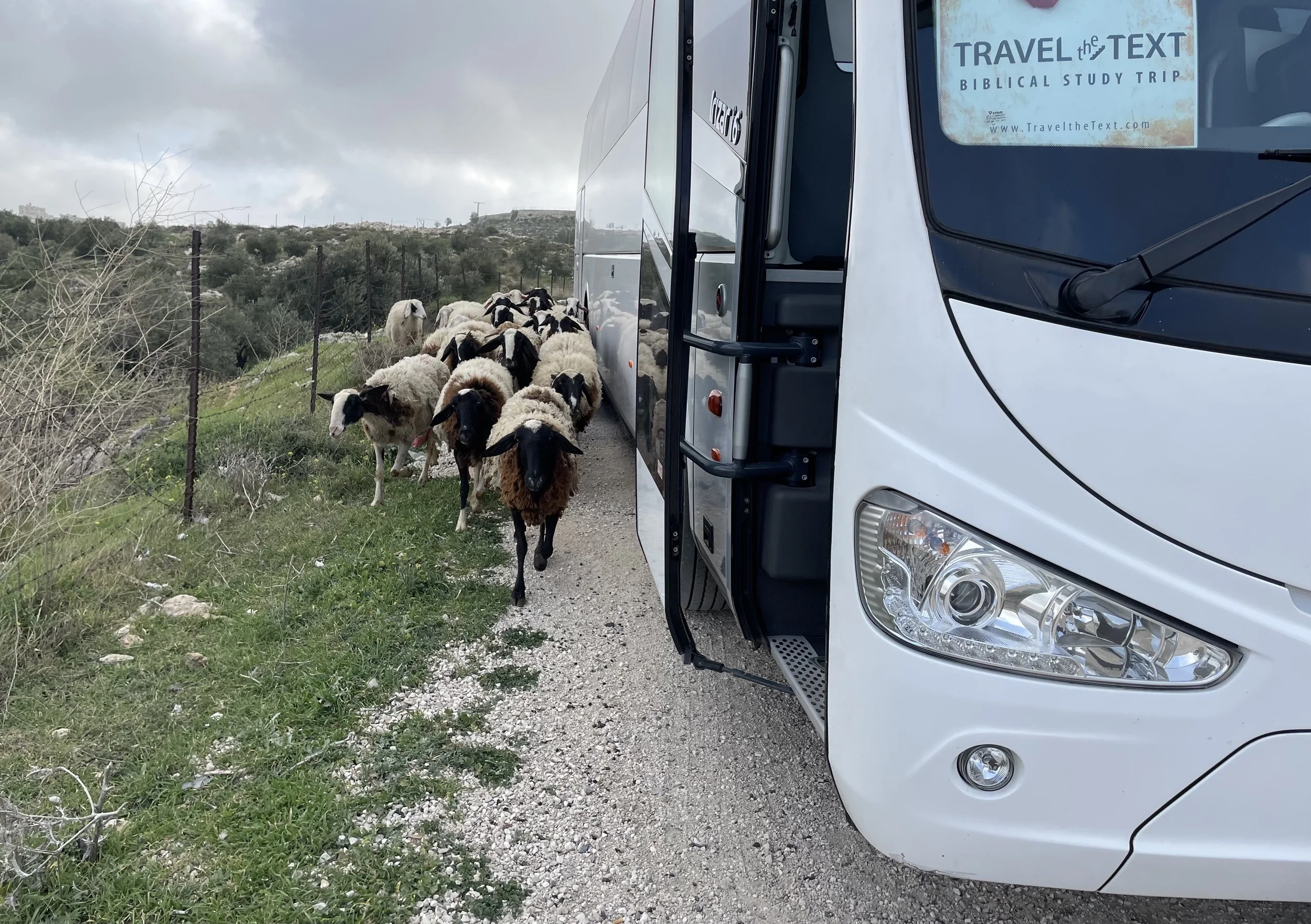 TTT Refund Policy — Travel the Text