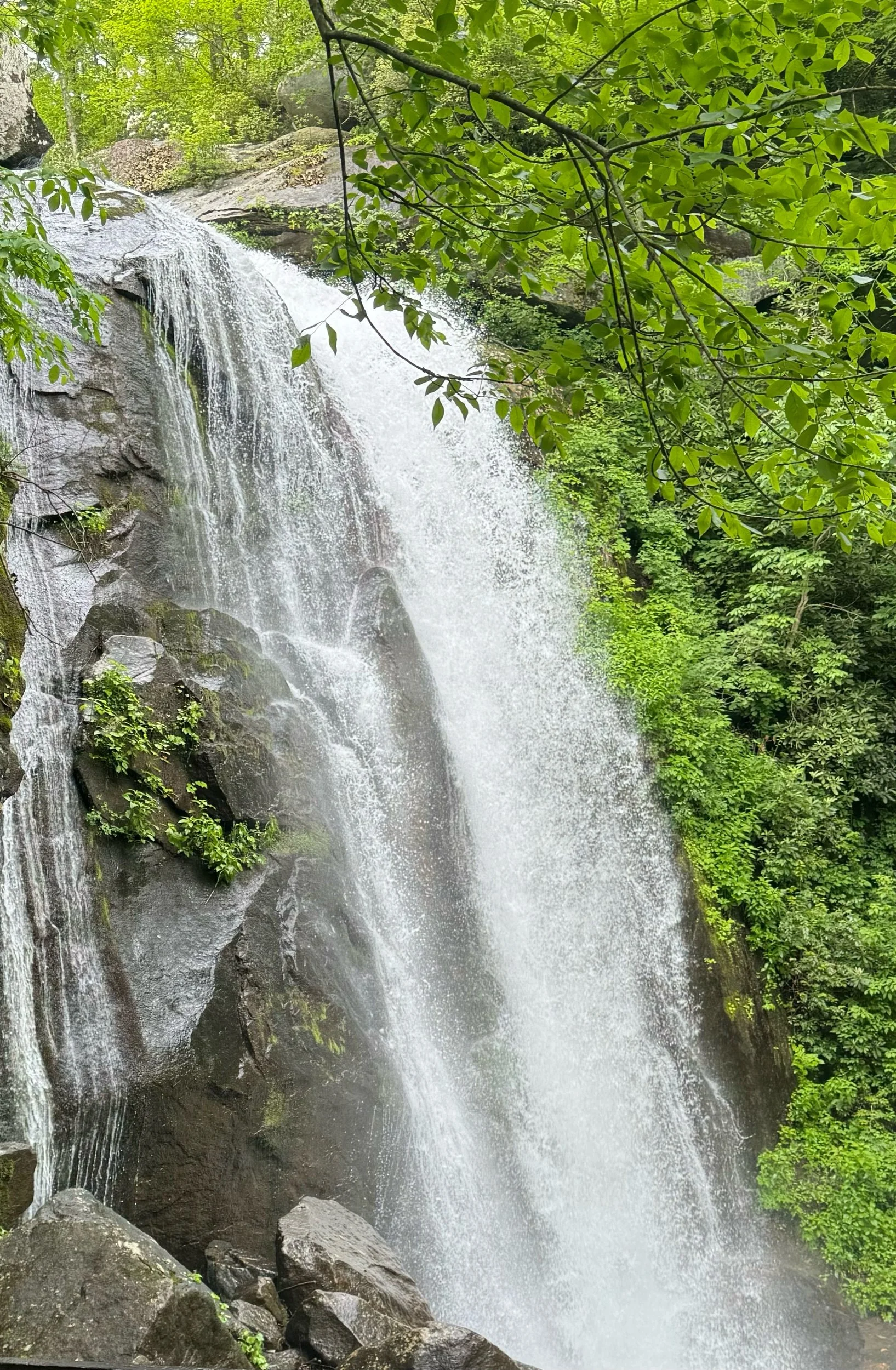 A Waterfall’s Reminder