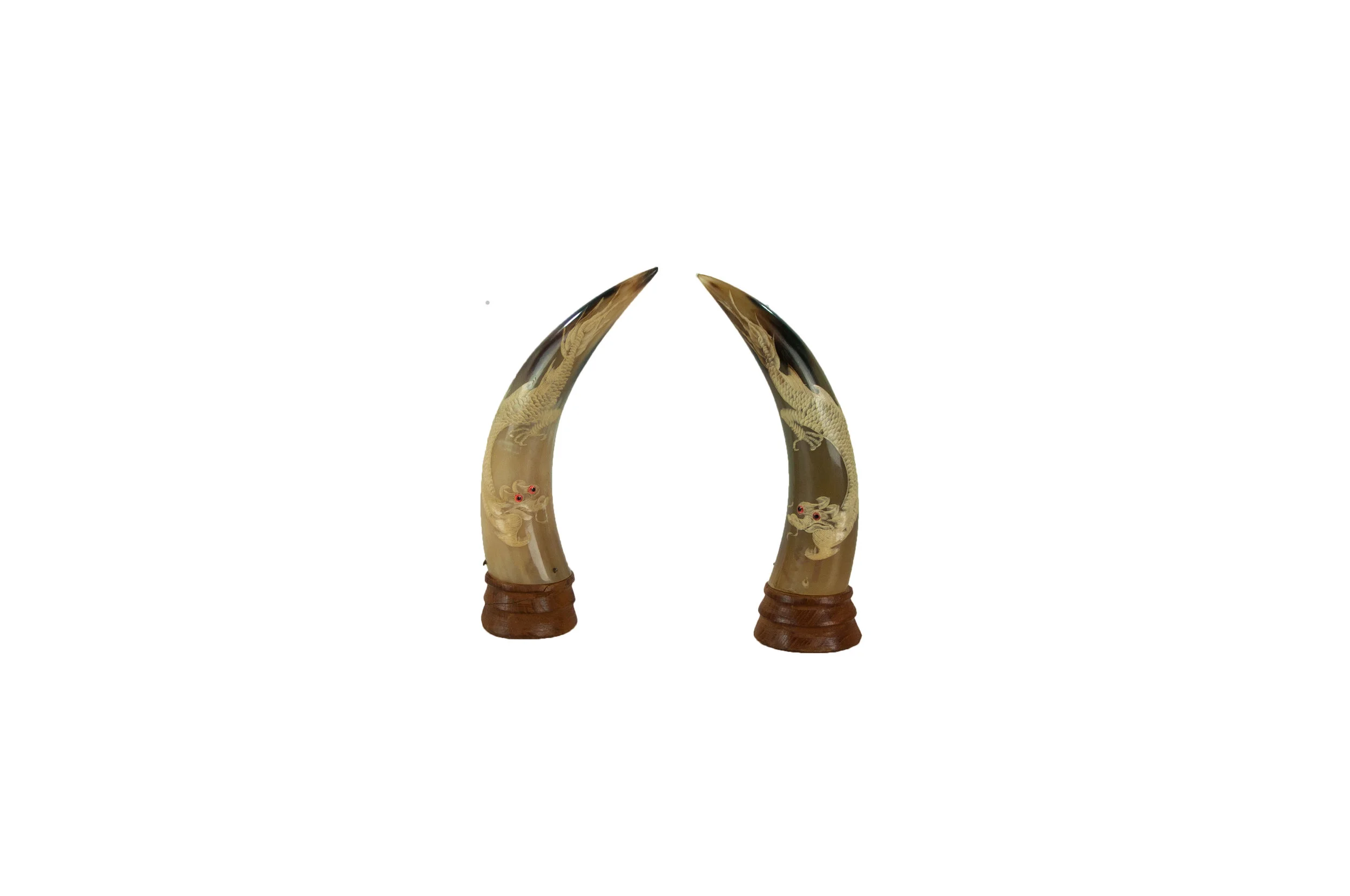 HORN1.jpg