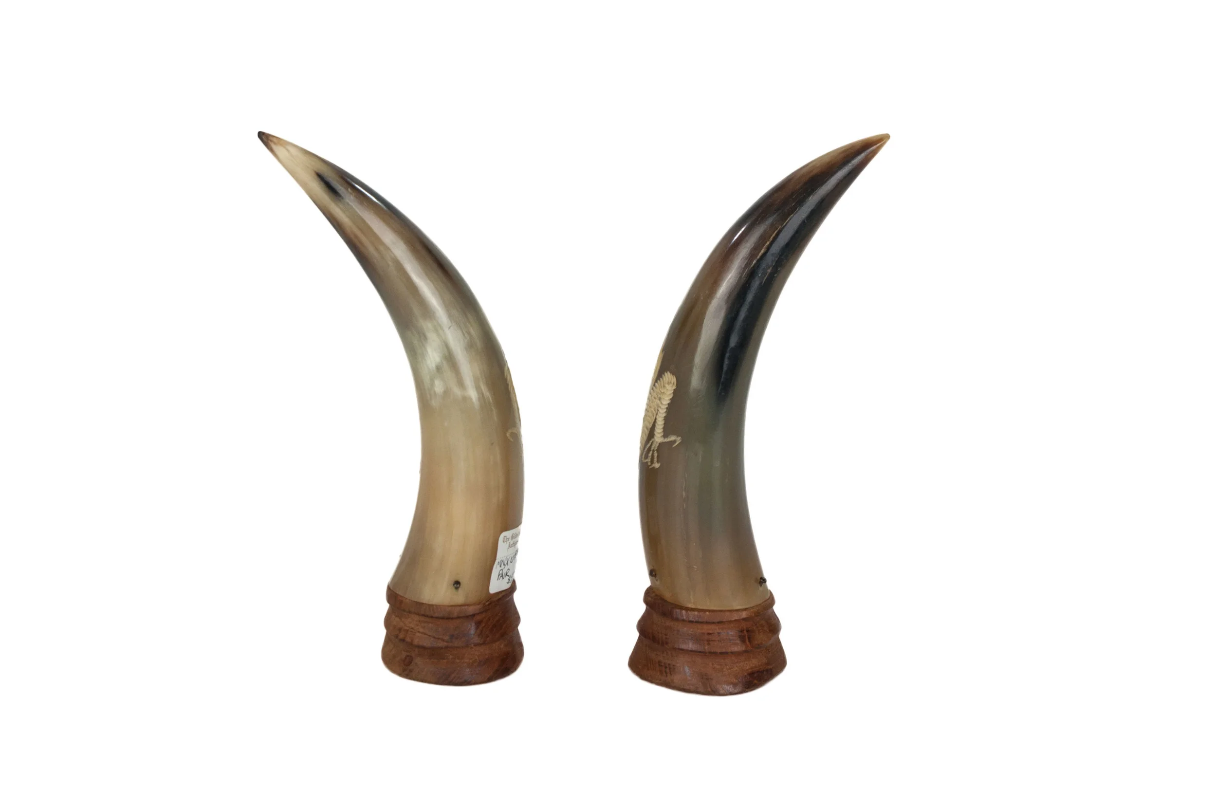 HORN4.jpg