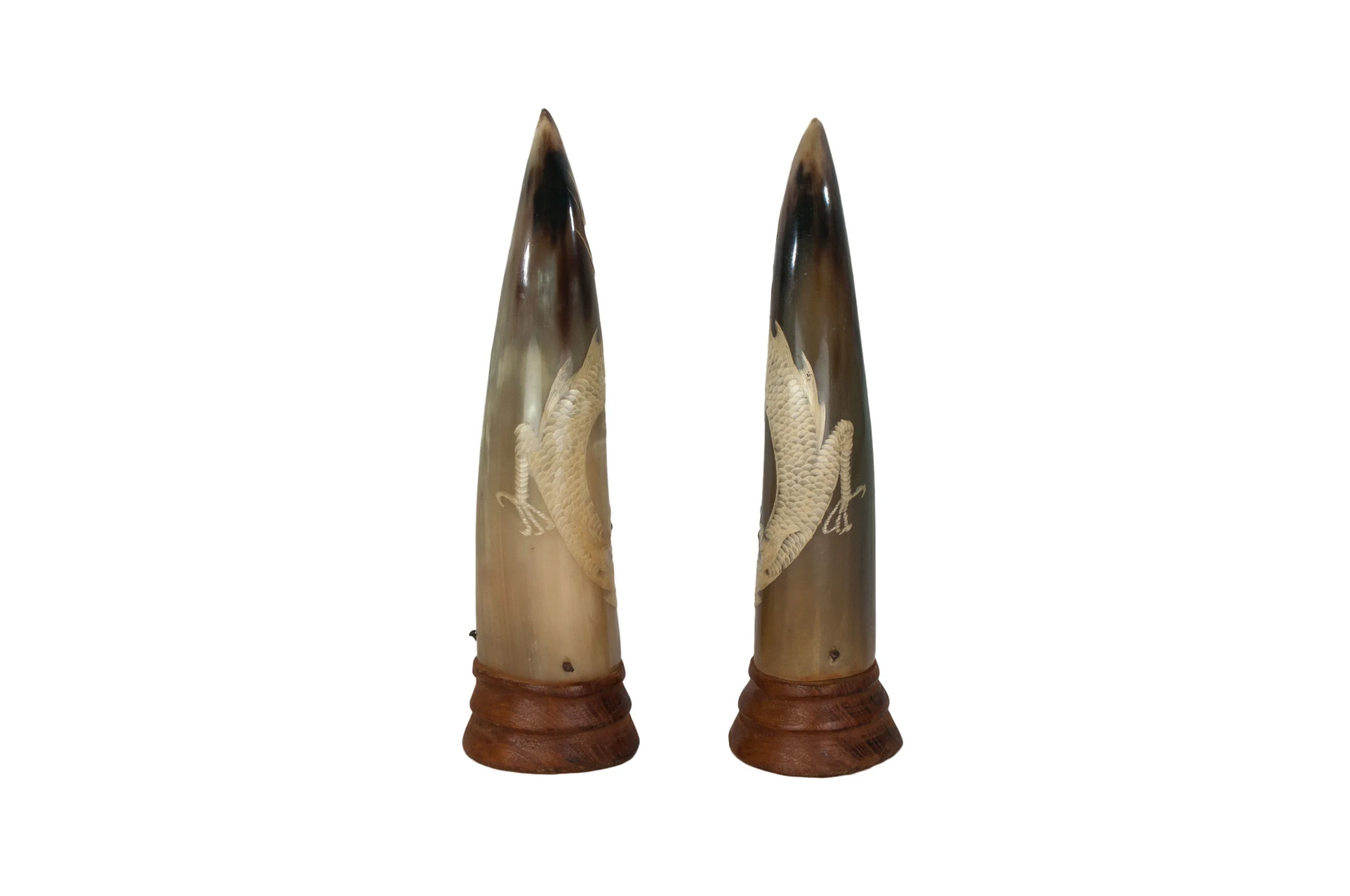 HORN5.jpg