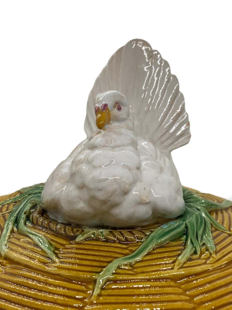 9.jpeg