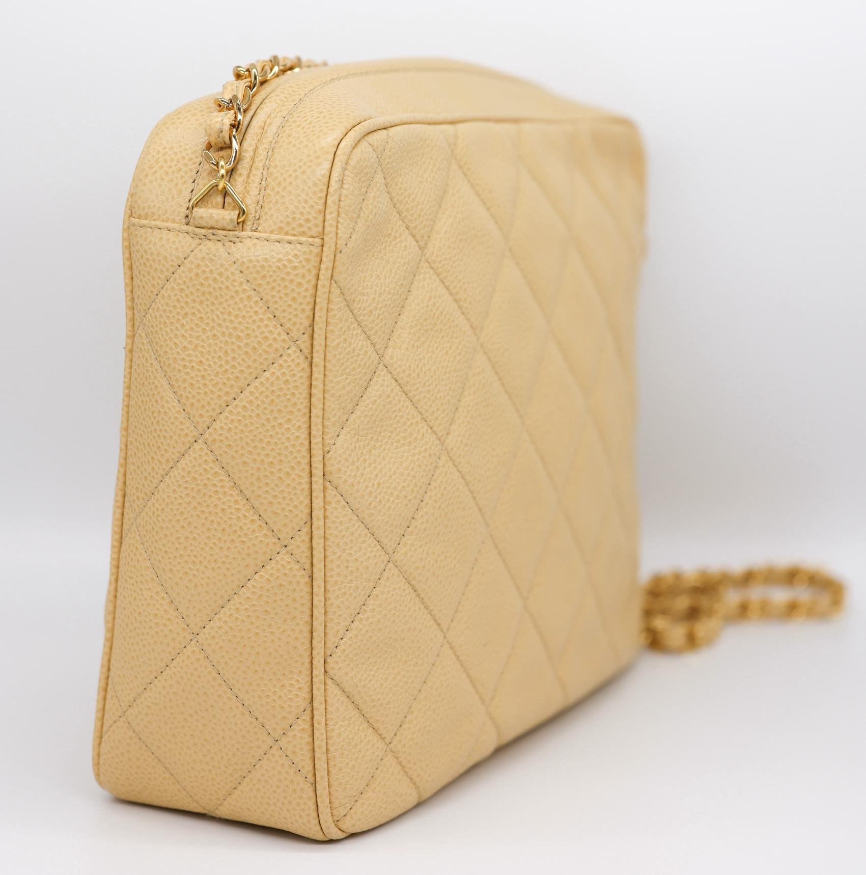 gildedagechristmasbags-39_clipped_rev_1.jpeg