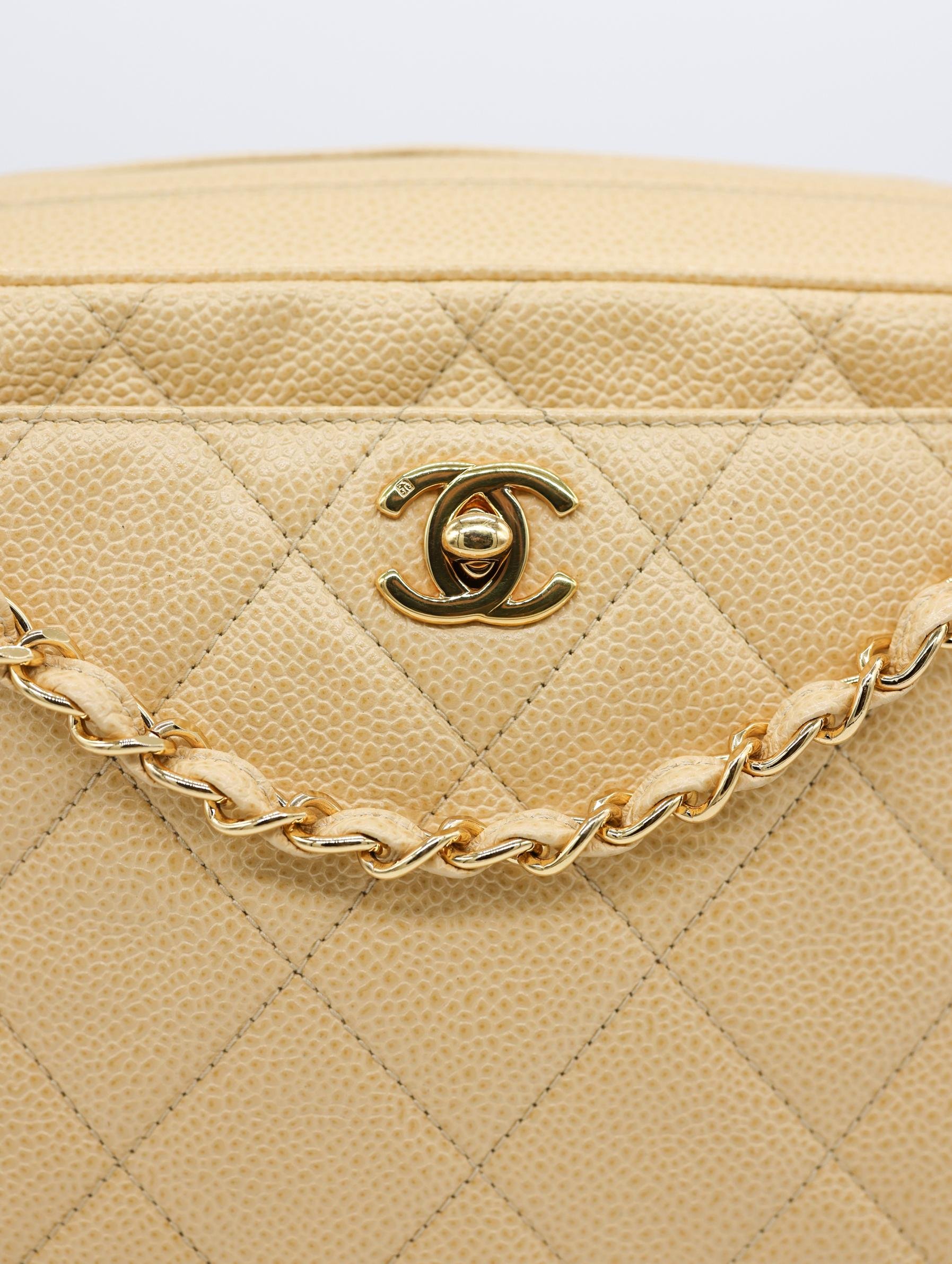 gildedagechristmasbags-25_clipped_rev_1.jpeg