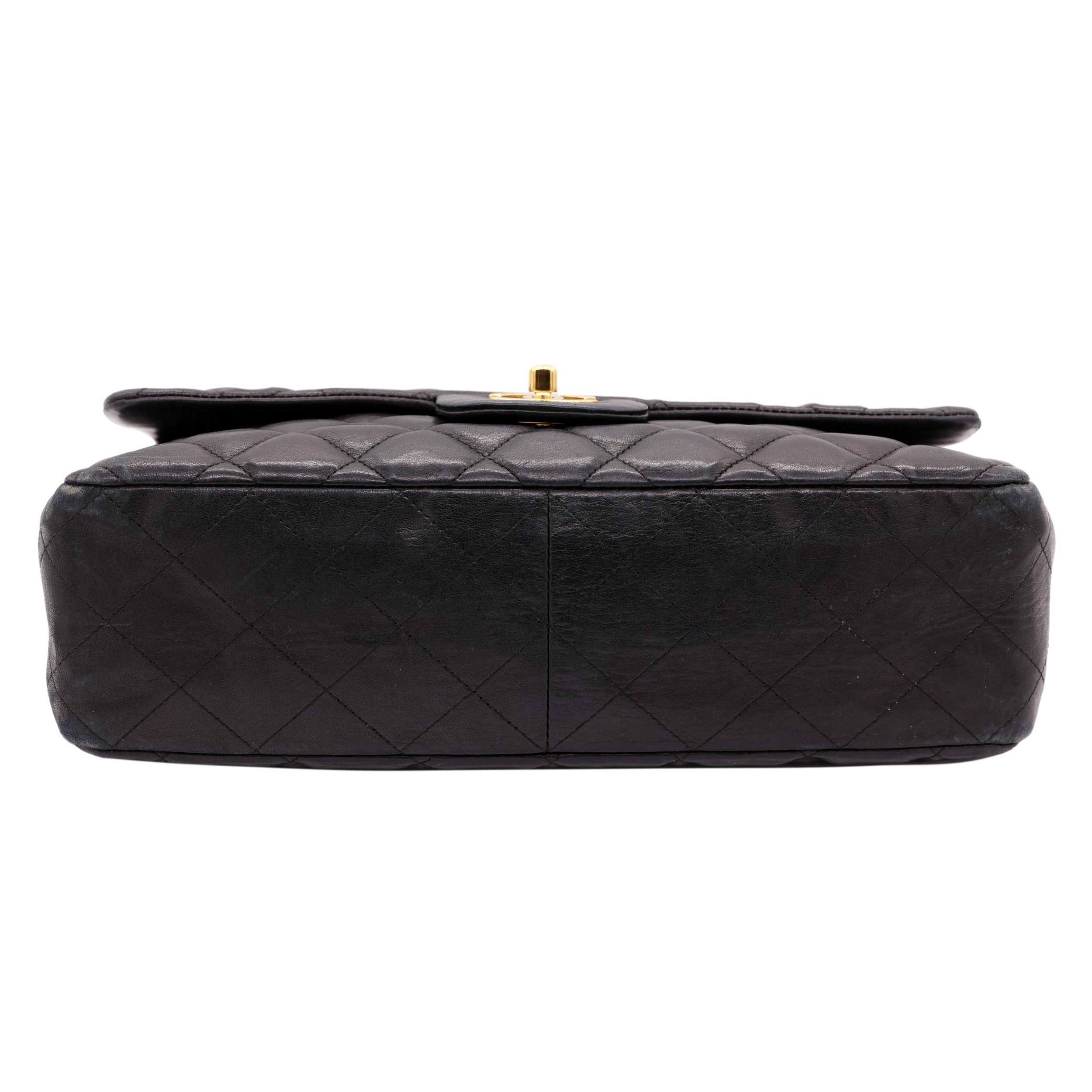 gildedagebags-17_clipped_rev_1.jpeg