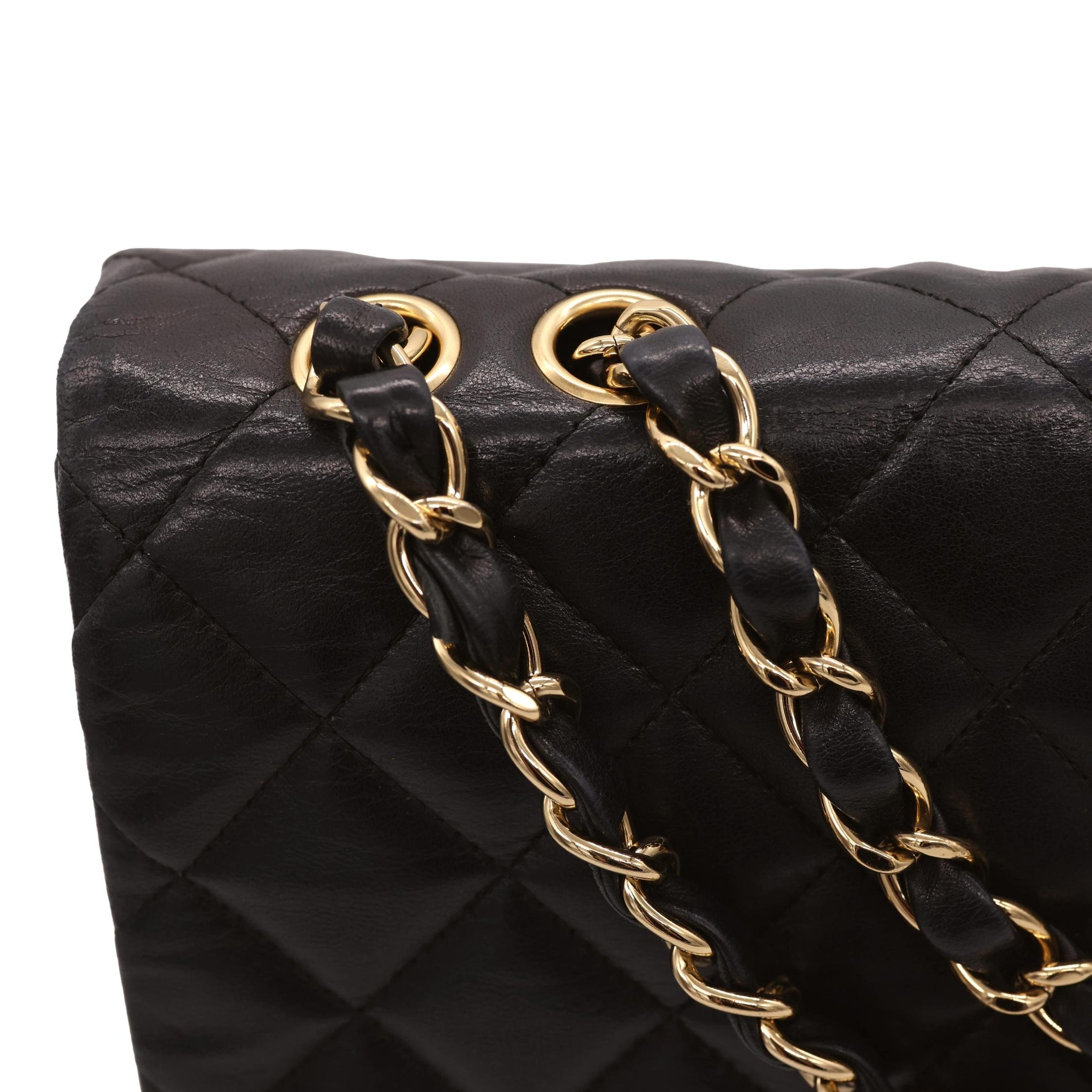 gildedagebags-3_clipped_rev_1.jpeg