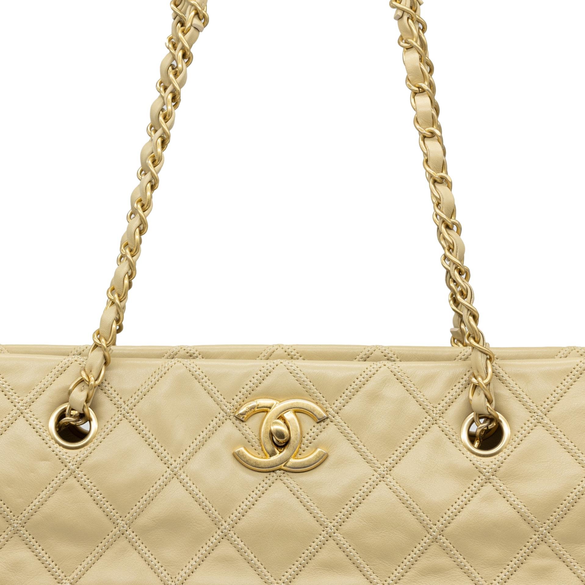 2022gildedbags-69_clipped_rev_2.jpeg