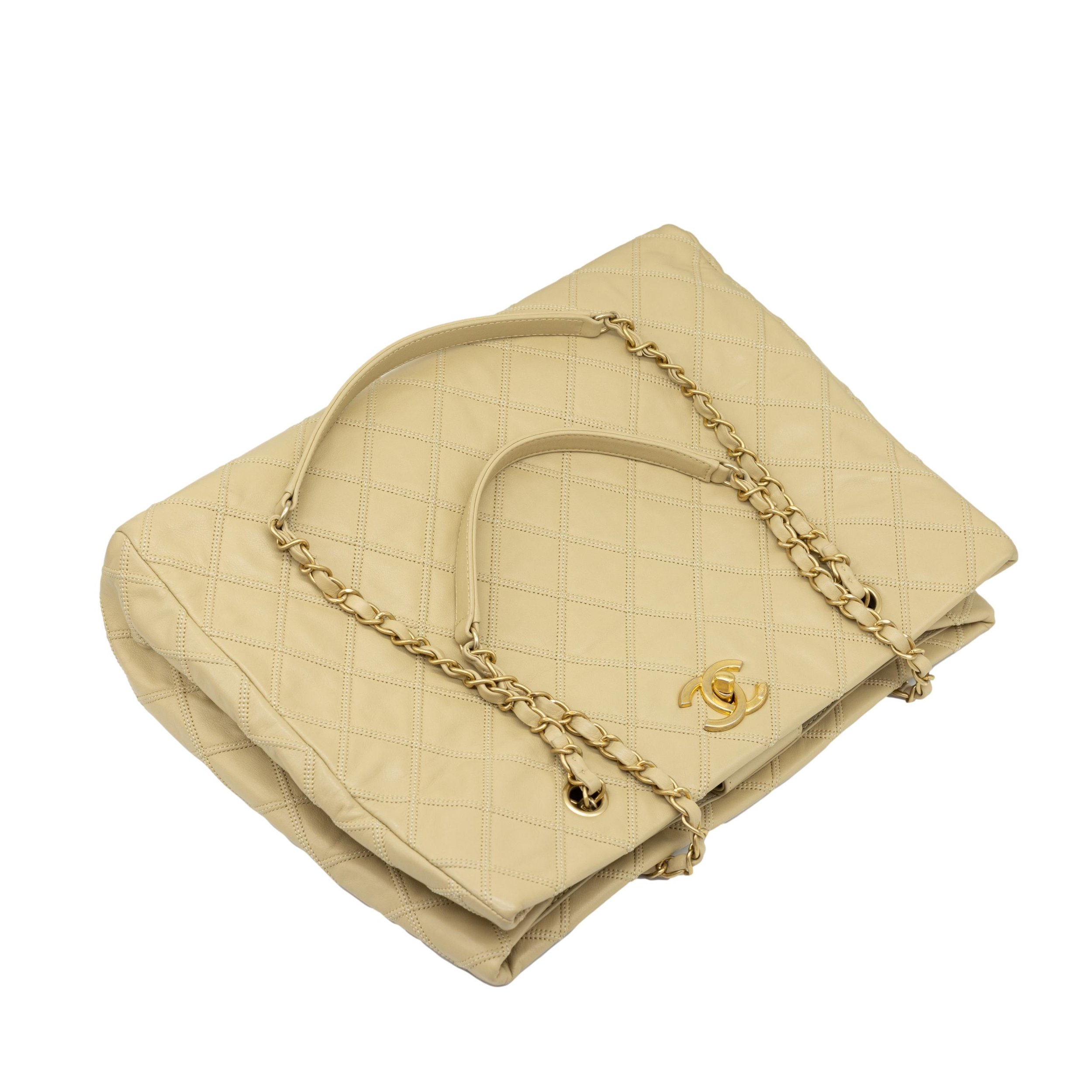2022gildedbags-77_clipped_rev_1.jpeg
