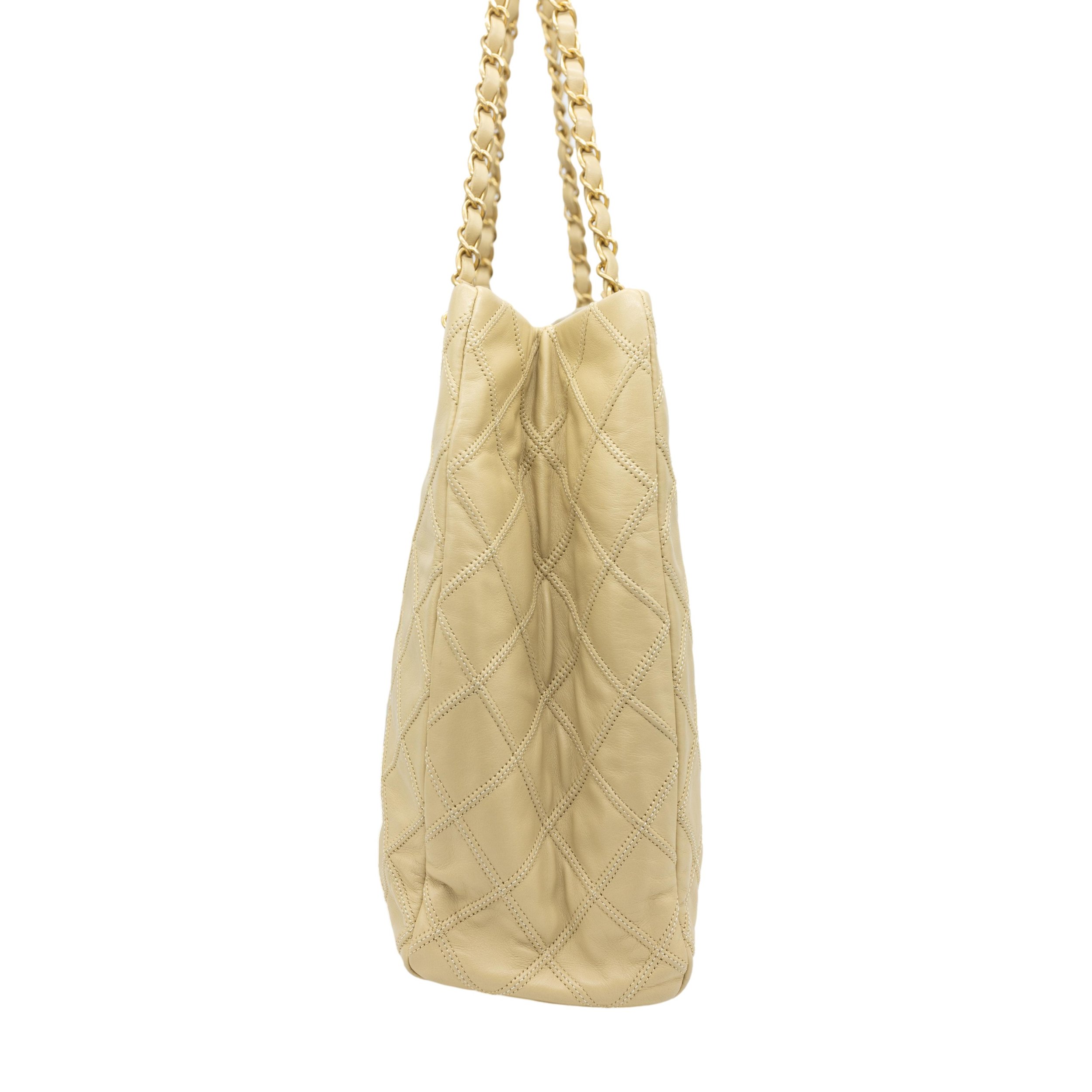 2022gildedbags-70_clipped_rev_1.jpeg