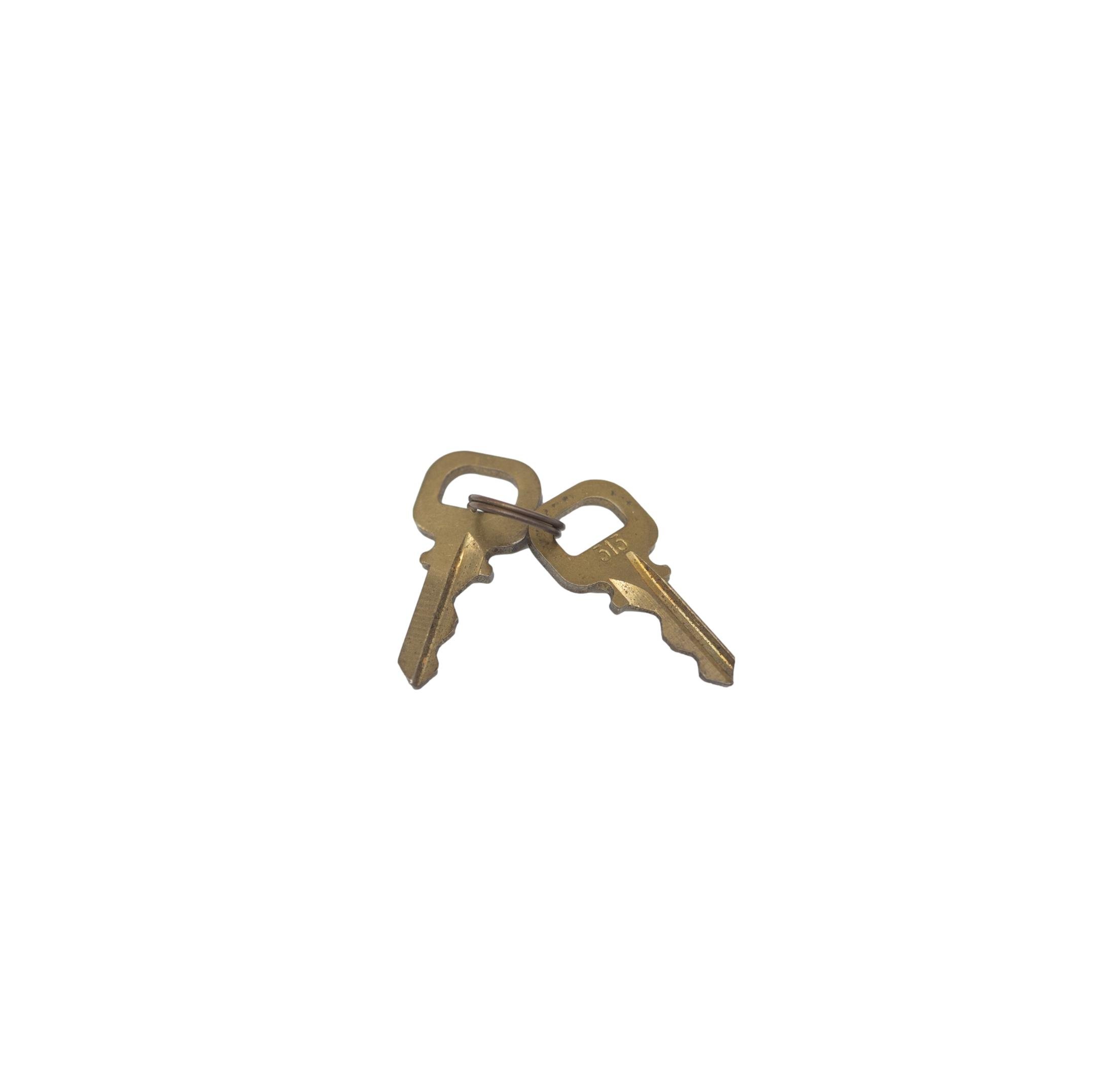 gildedmay2023bags-19_clipped_rev_1.jpeg