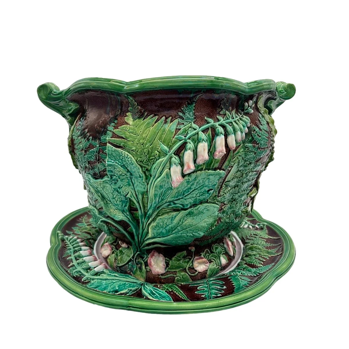 IMG_1497_clipped_rev_1 (1)_clipped_rev_4.jpeg