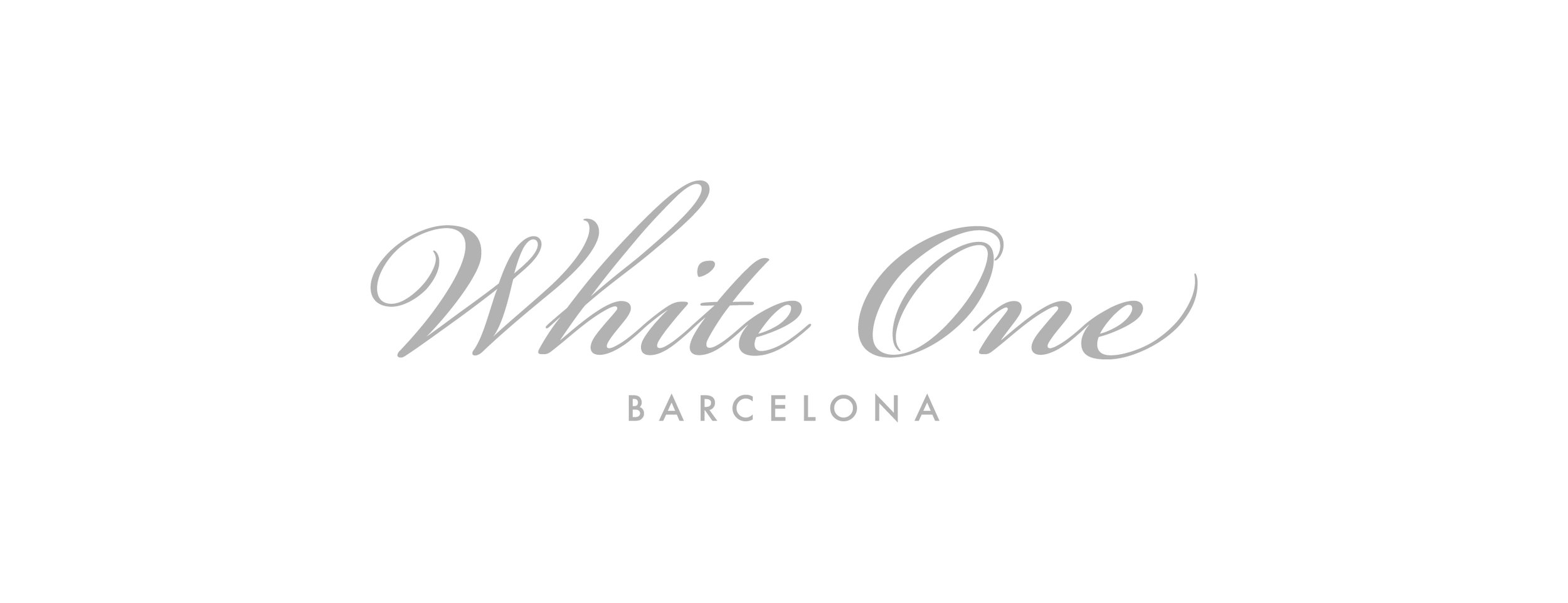 LOGO_WHITE_ONE_COLOR_SILVER_18.jpg